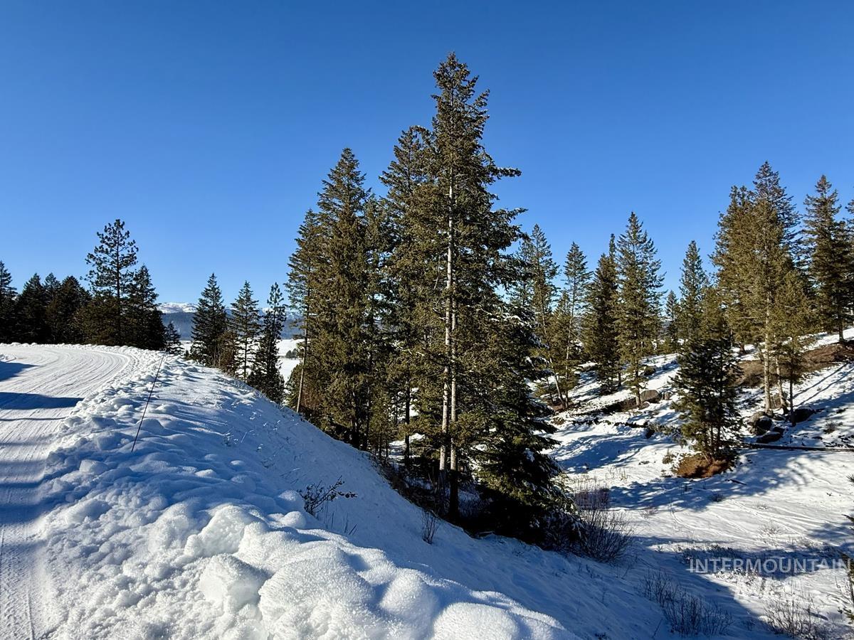 L1 B2 San Ignacio Way, Cascade, Idaho 83611, Land For Sale, Price $109,000,MLS 98956680