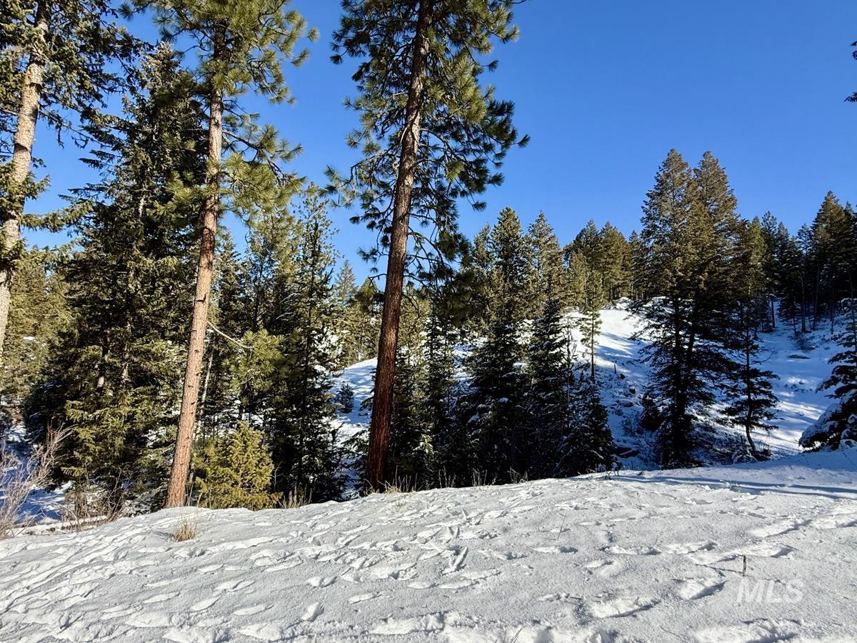 L1 B2 San Ignacio Way, Cascade, Idaho 83611, Land For Sale, Price $109,000,MLS 98956680