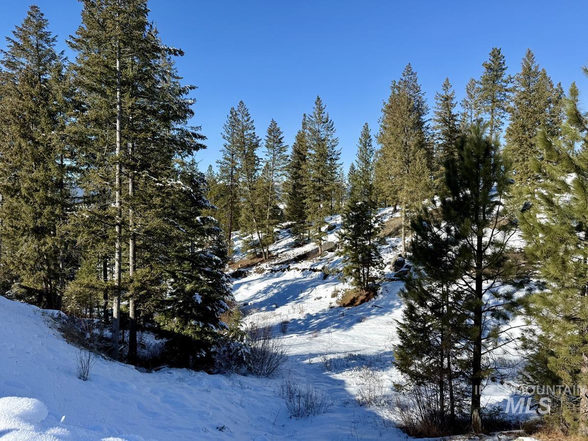 L1 B2 San Ignacio Way, Cascade, Idaho 83611, Land For Sale, Price $109,000,MLS 98956680