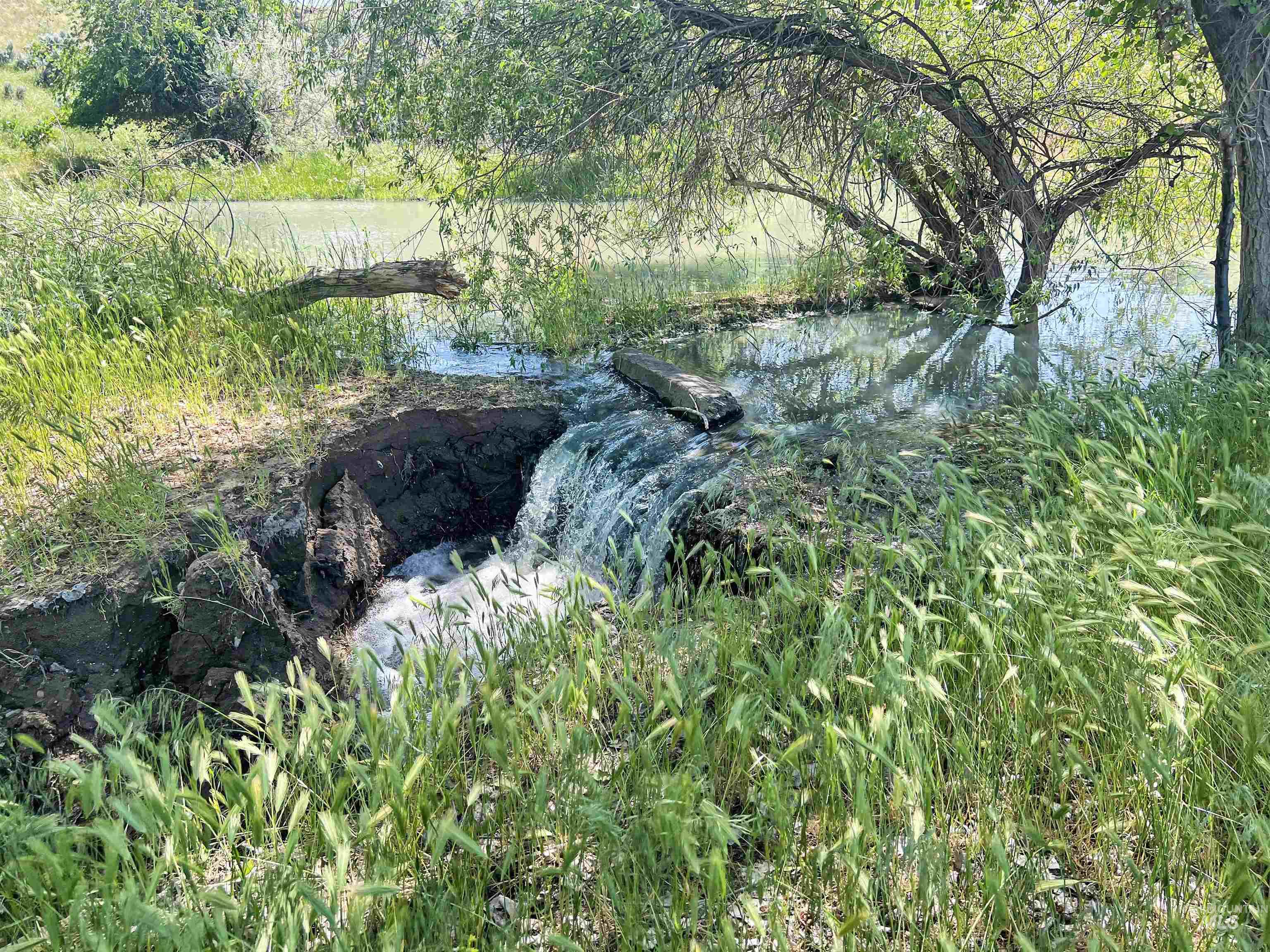 830 Snively Gulch Rd, Adrian, Oregon 97901, Farm & Ranch For Sale, Price $1,300,000,MLS 98956991