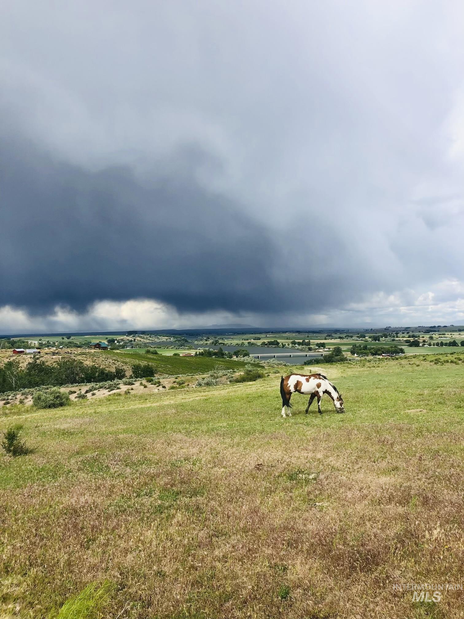 830 Snively Gulch Rd, Adrian, Oregon 97901, Farm & Ranch For Sale, Price $1,300,000,MLS 98956991