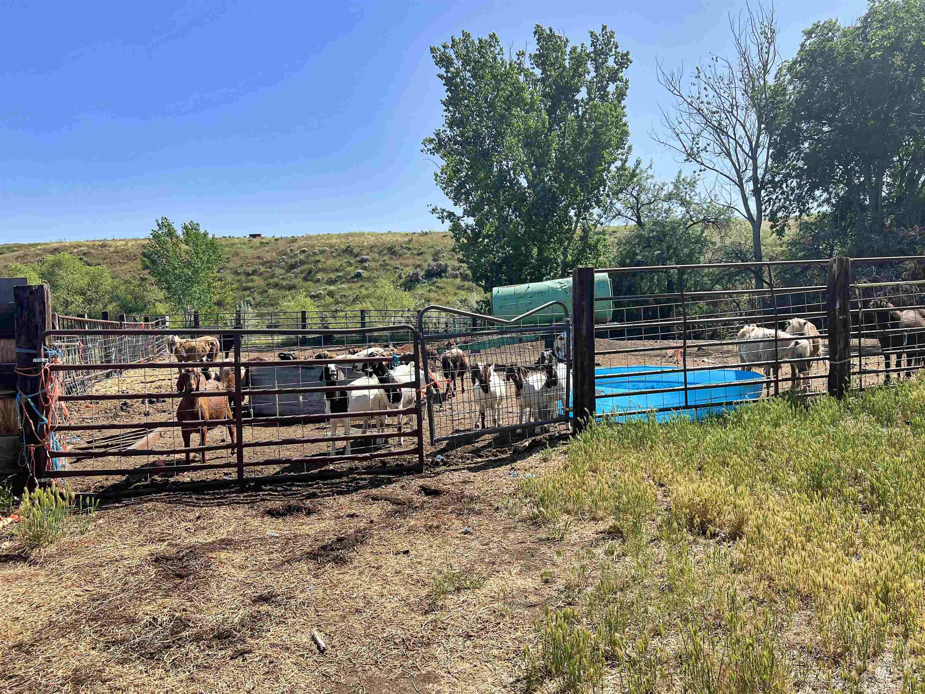 830 Snively Gulch Rd, Adrian, Oregon 97901, Farm & Ranch For Sale, Price $1,300,000,MLS 98956991