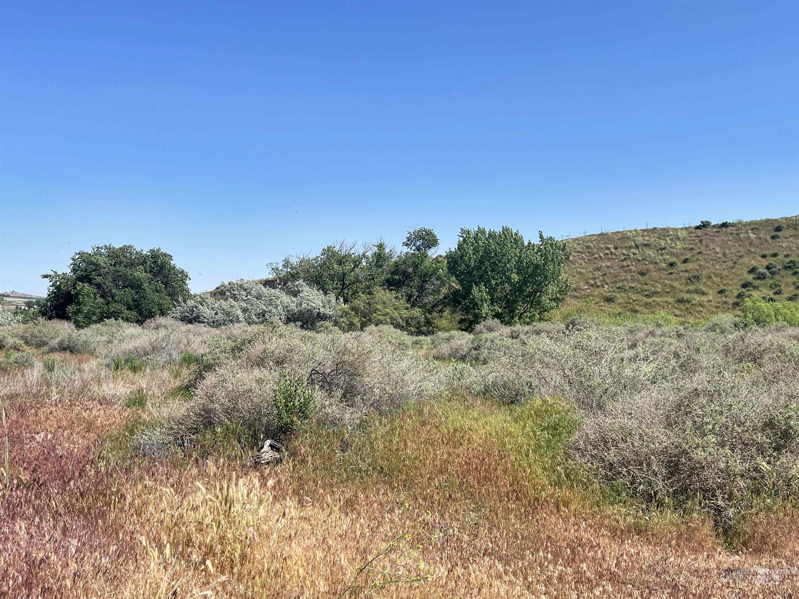 830 Snively Gulch Rd, Adrian, Oregon 97901, Farm & Ranch For Sale, Price $1,300,000,MLS 98956991