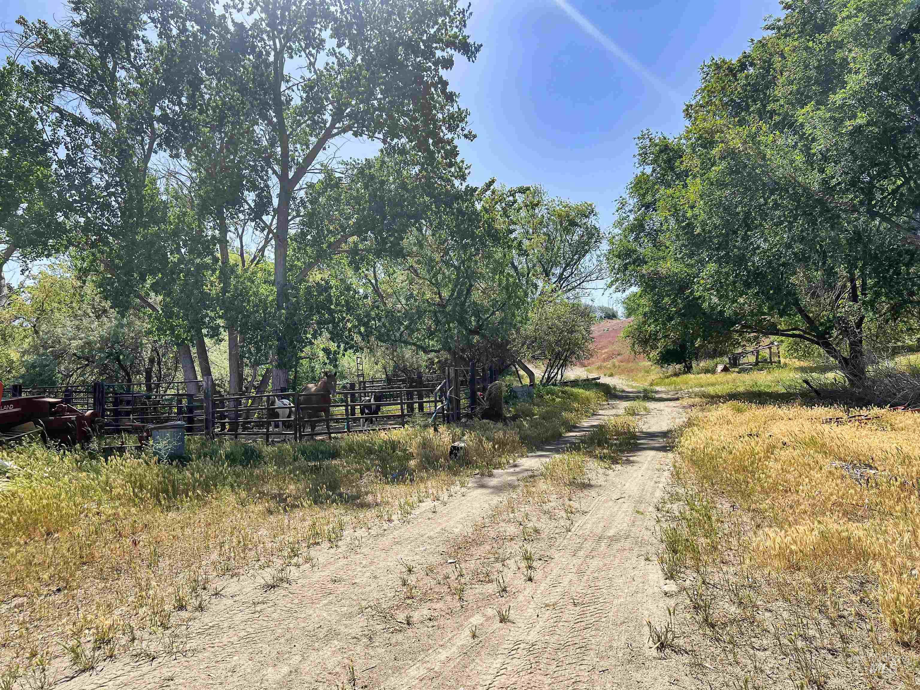 830 Snively Gulch Rd, Adrian, Oregon 97901, Farm & Ranch For Sale, Price $1,300,000,MLS 98956991