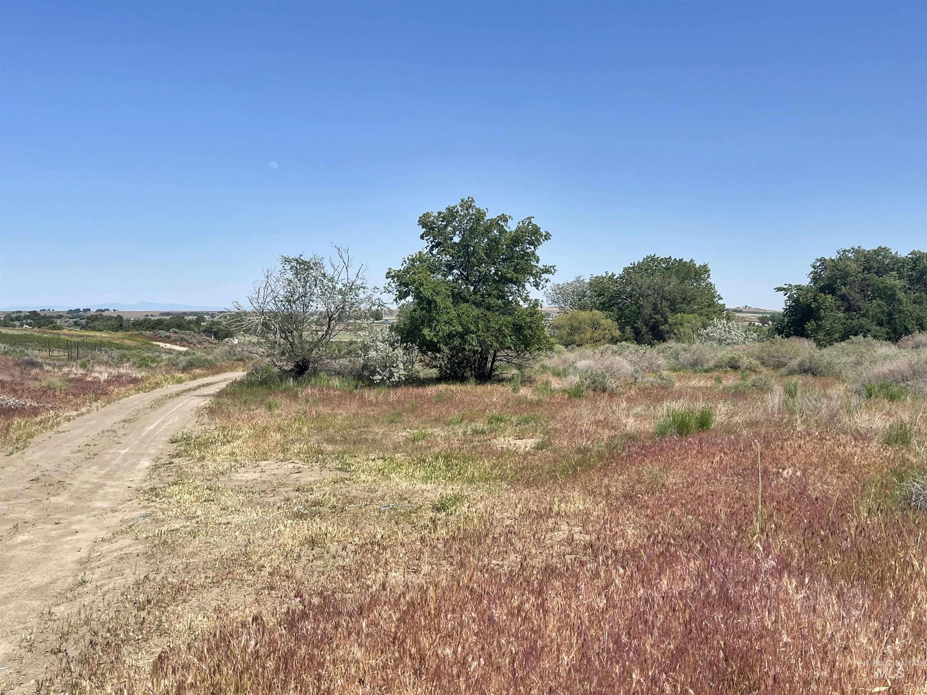 830 Snively Gulch Rd, Adrian, Oregon 97901, Farm & Ranch For Sale, Price $1,300,000,MLS 98956991