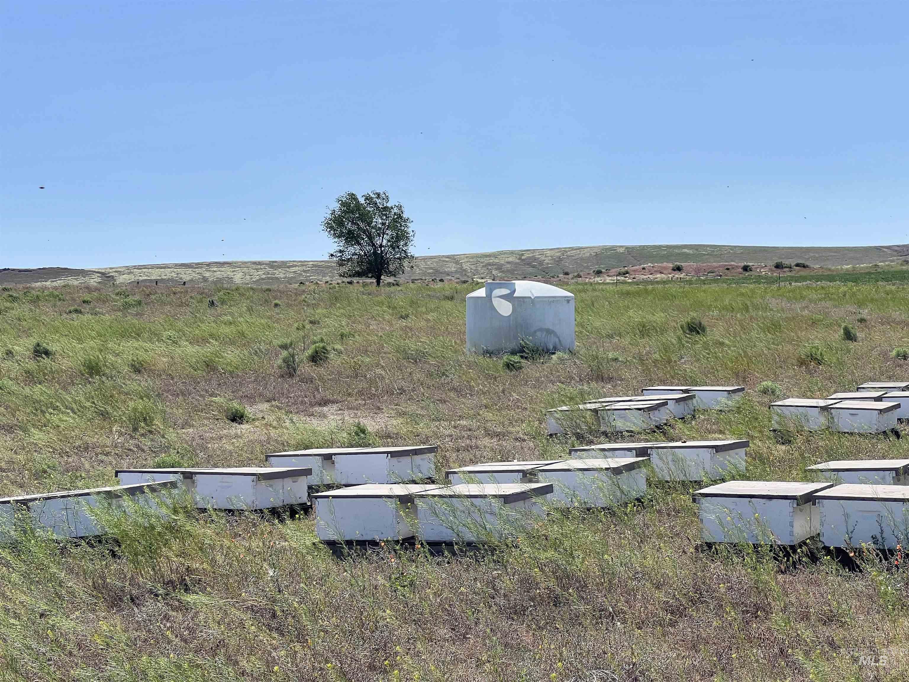 830 Snively Gulch Rd, Adrian, Oregon 97901, Farm & Ranch For Sale, Price $1,300,000,MLS 98956991