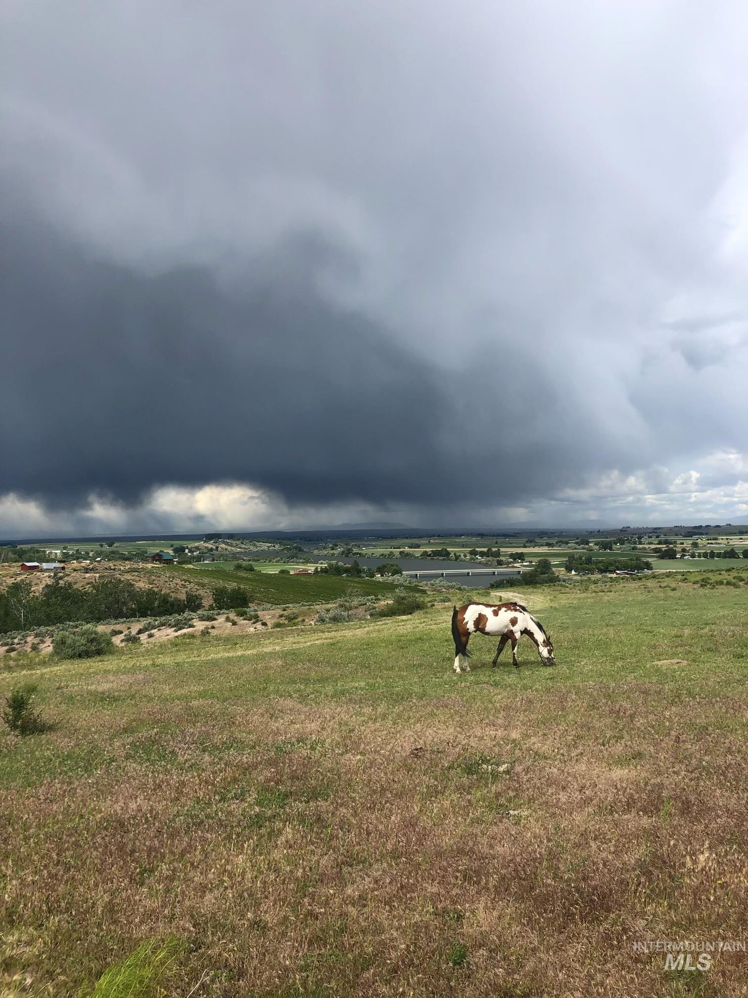 TBD Snively Gulch Rd, Adrian, Oregon 97901, Land For Sale, Price $250,000,MLS 98956992