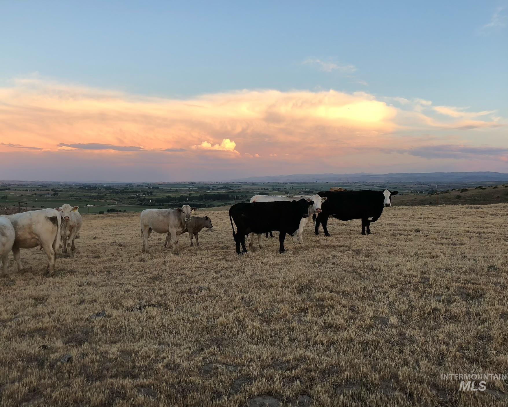 TBD Snively Gulch Rd, Adrian, Oregon 97901, Land For Sale, Price $250,000,MLS 98956992