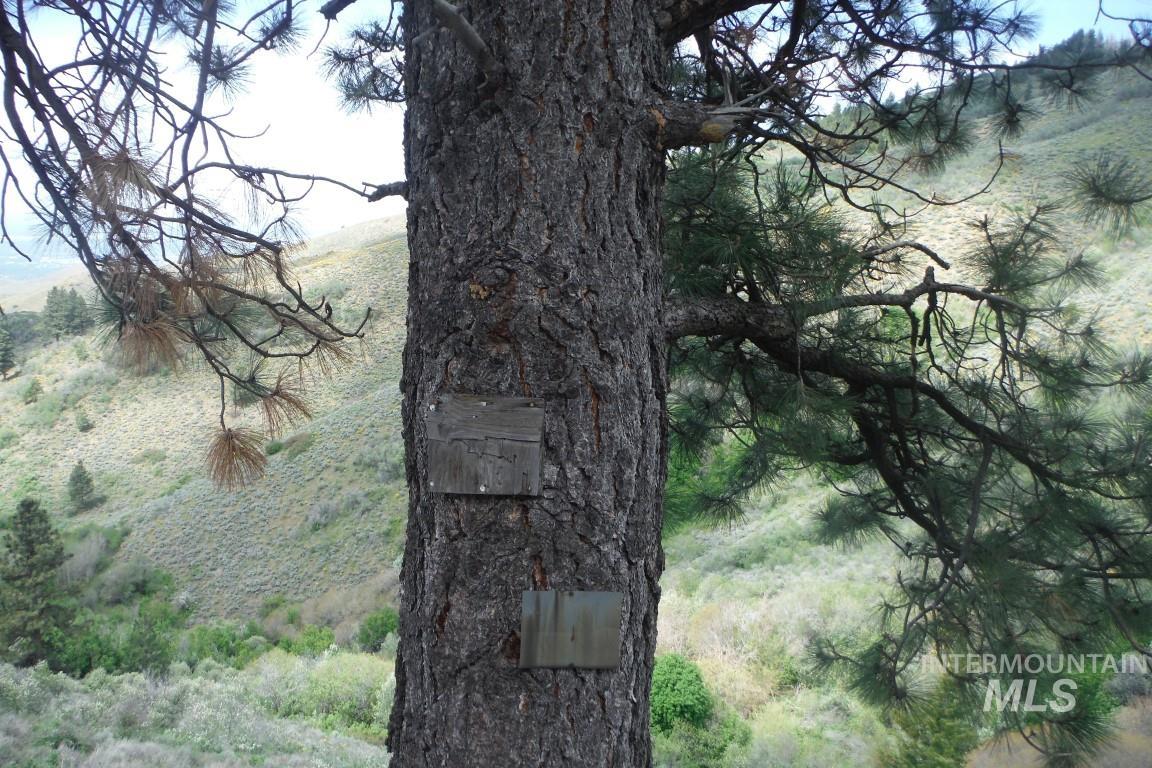 TBD Boise Ridge Road, Boise, Idaho 83716-1111, Land For Sale, Price $125,000, 98957110