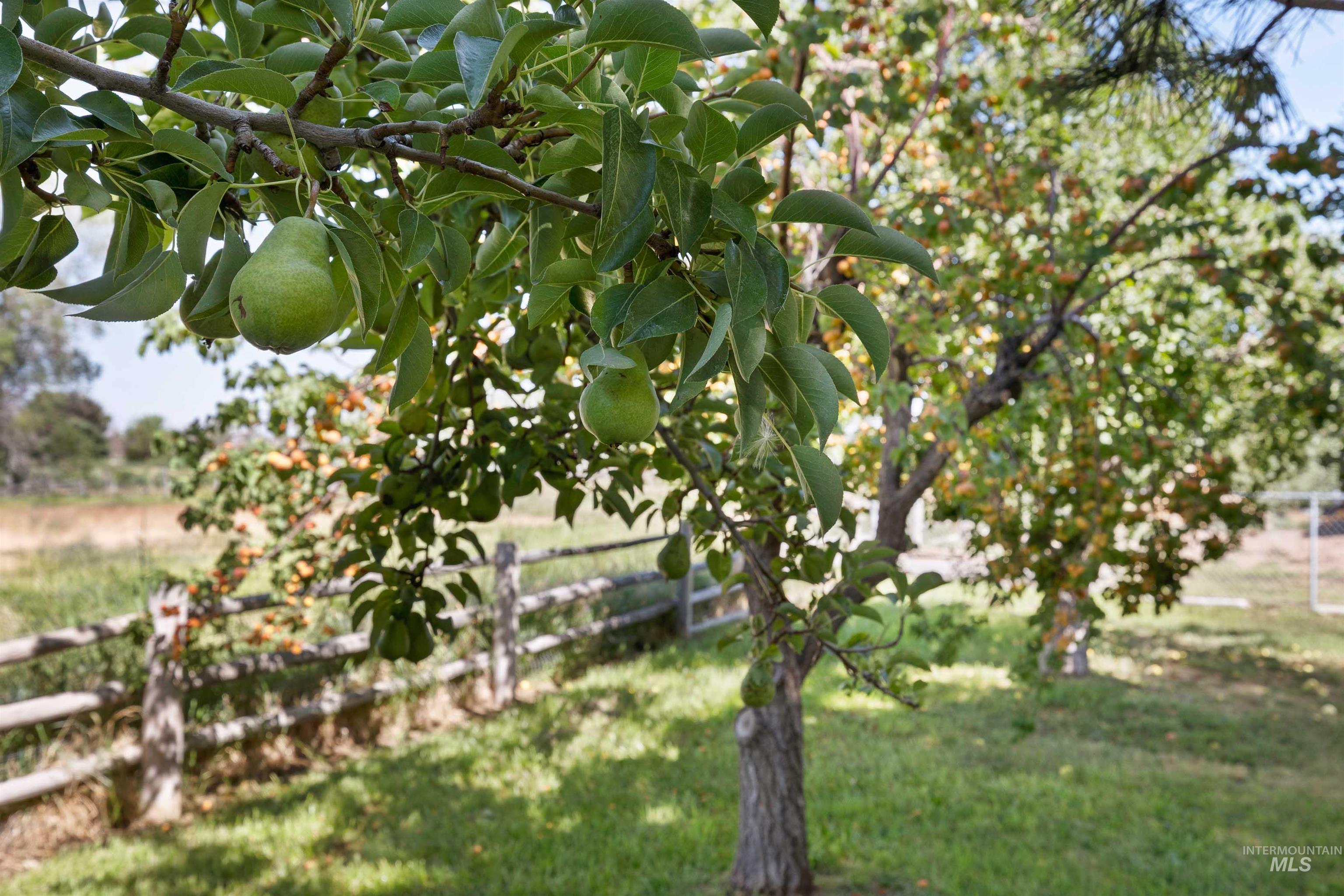 3983 N 2300 E, Filer, Idaho 83328, 4 Bedrooms, 3 Bathrooms, Residential For Sale, Price $594,900,MLS 98957121