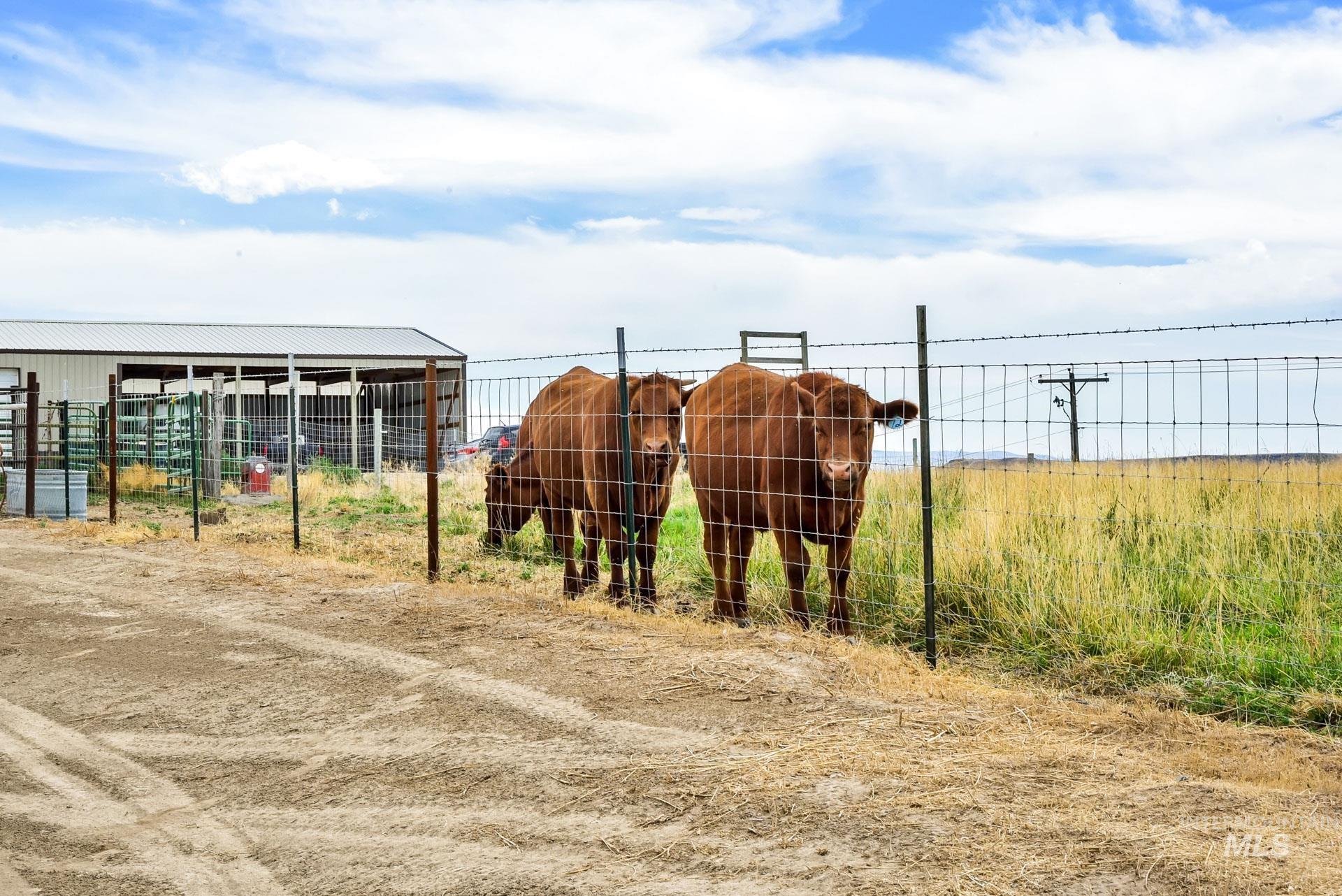 9770 Farner Rd, Nampa, Idaho 83686-9148, 3 Bedrooms, 3 Bathrooms, Farm & Ranch For Sale, Price $1,200,000, 98957131
