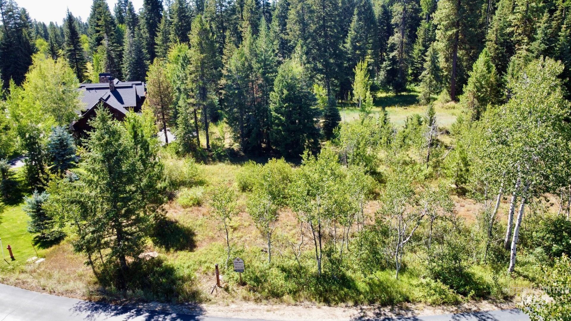 495 Discovery Drive, Donnelly, Idaho 83615, 4 Bedrooms, 4 Bathrooms, Residential For Sale, Price $2,900,000,MLS 98957226