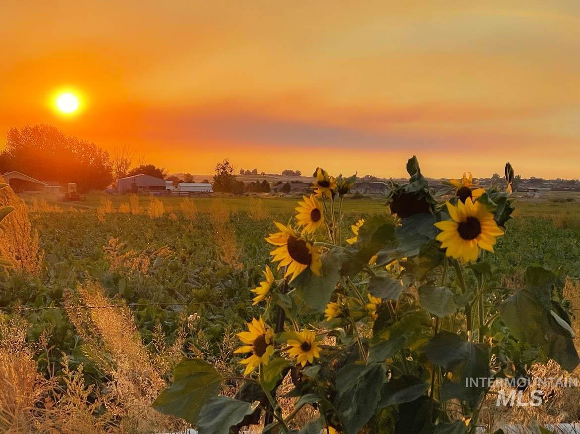 12258 Smith Avenue, Nampa, Idaho 83651, 4 Bedrooms, 3 Bathrooms, Residential For Sale, Price $970,000, 98957467