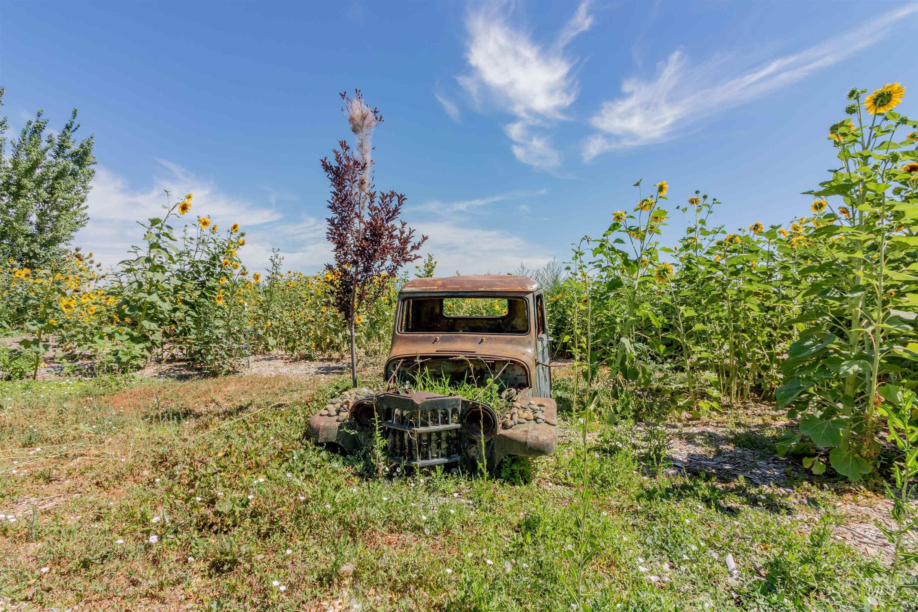 12258 Smith Avenue, Nampa, Idaho 83651, 4 Bedrooms, 3 Bathrooms, Residential For Sale, Price $970,000, 98957467