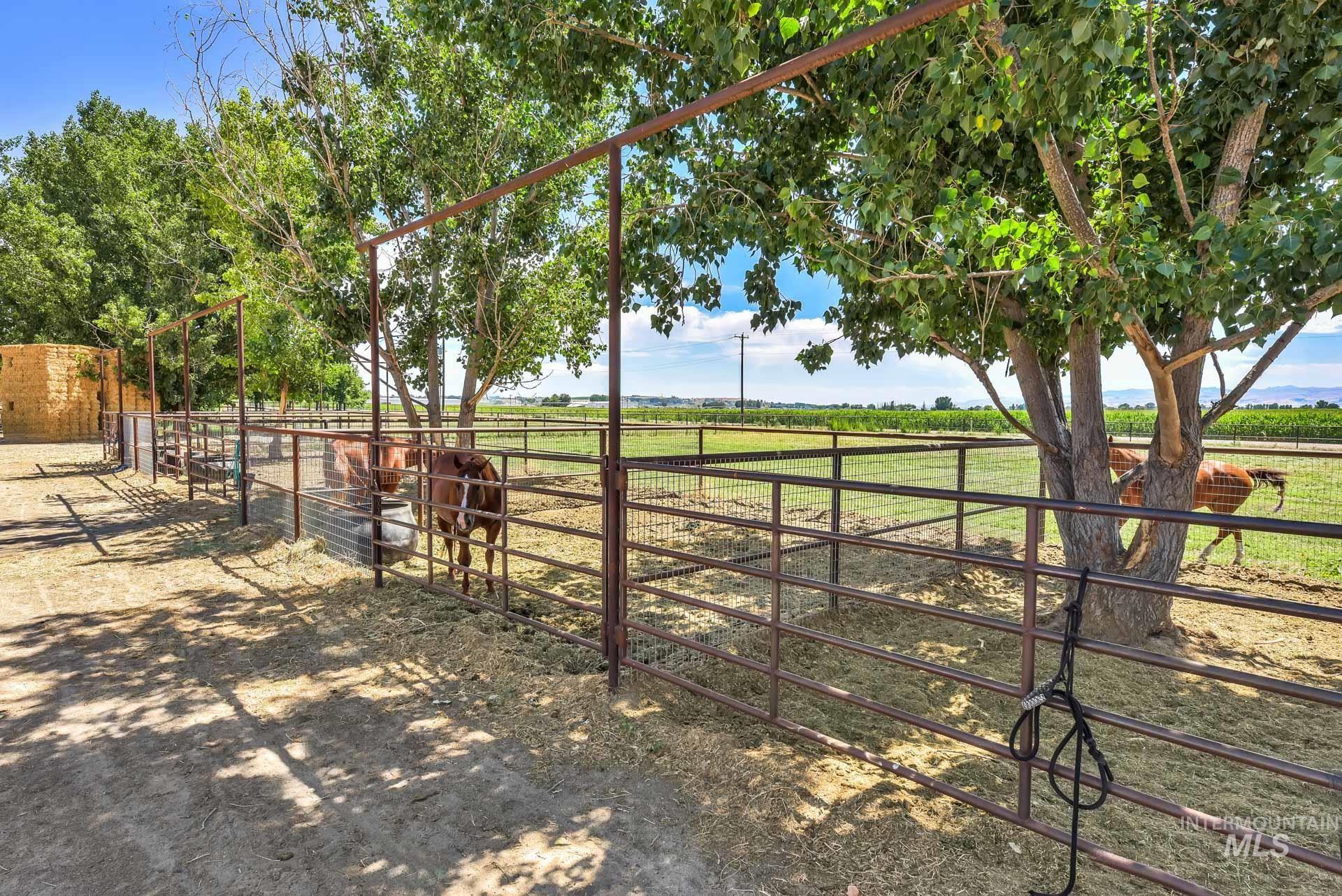 27114 Lower Pleasant Ridge, Wilder, Idaho 83676, 4 Bedrooms, 3.5 Bathrooms, Residential Income For Sale, Price $1,799,900,MLS 98957574