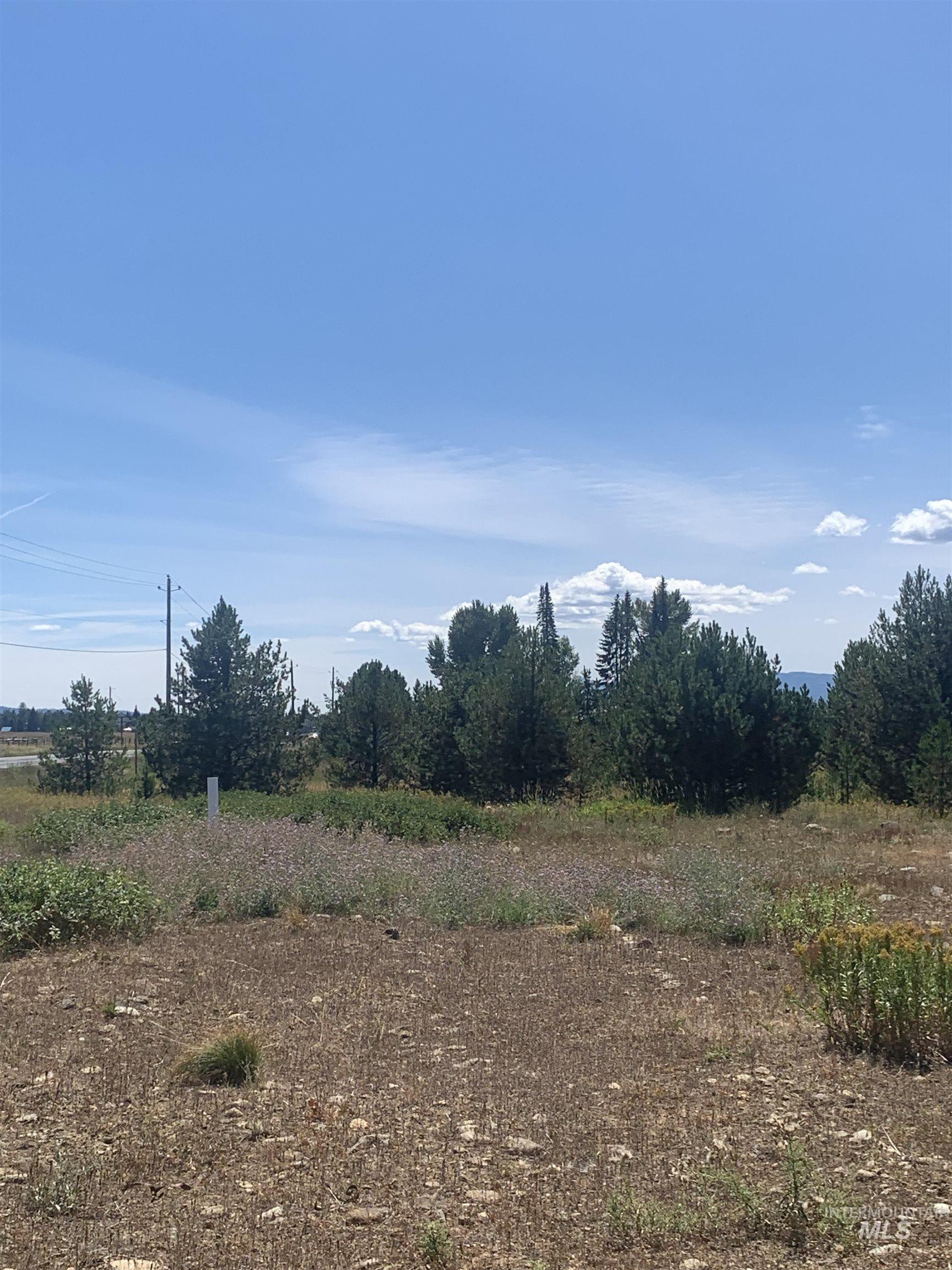 TBD Coho Ln, Donnelly, Idaho 83615, Land For Sale, Price $268,900,MLS 98957688