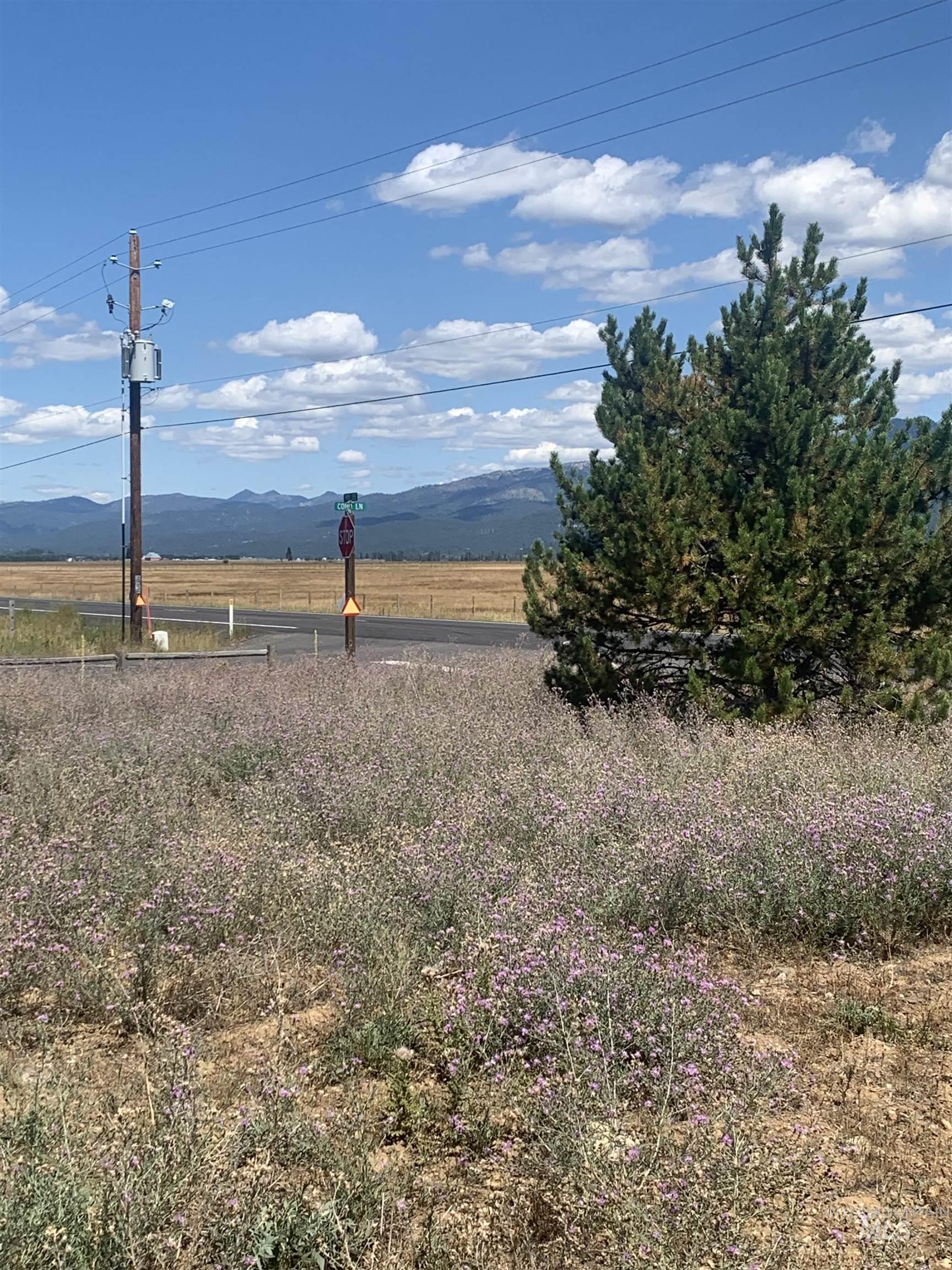 TBD Coho Ln, Donnelly, Idaho 83615, Land For Sale, Price $268,900,MLS 98957688