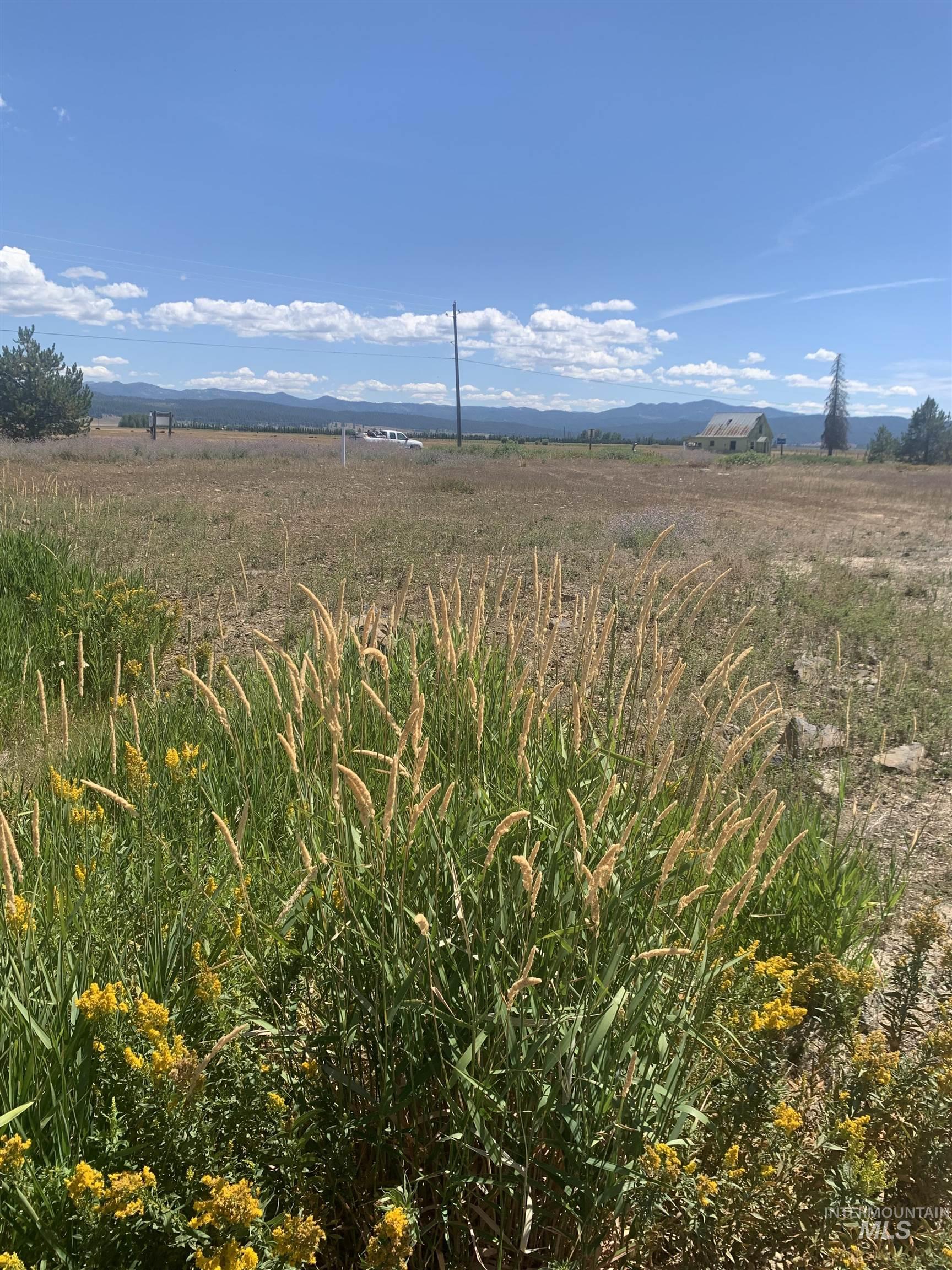 TBD Coho Ln, Donnelly, Idaho 83615, Land For Sale, Price $268,900,MLS 98957688
