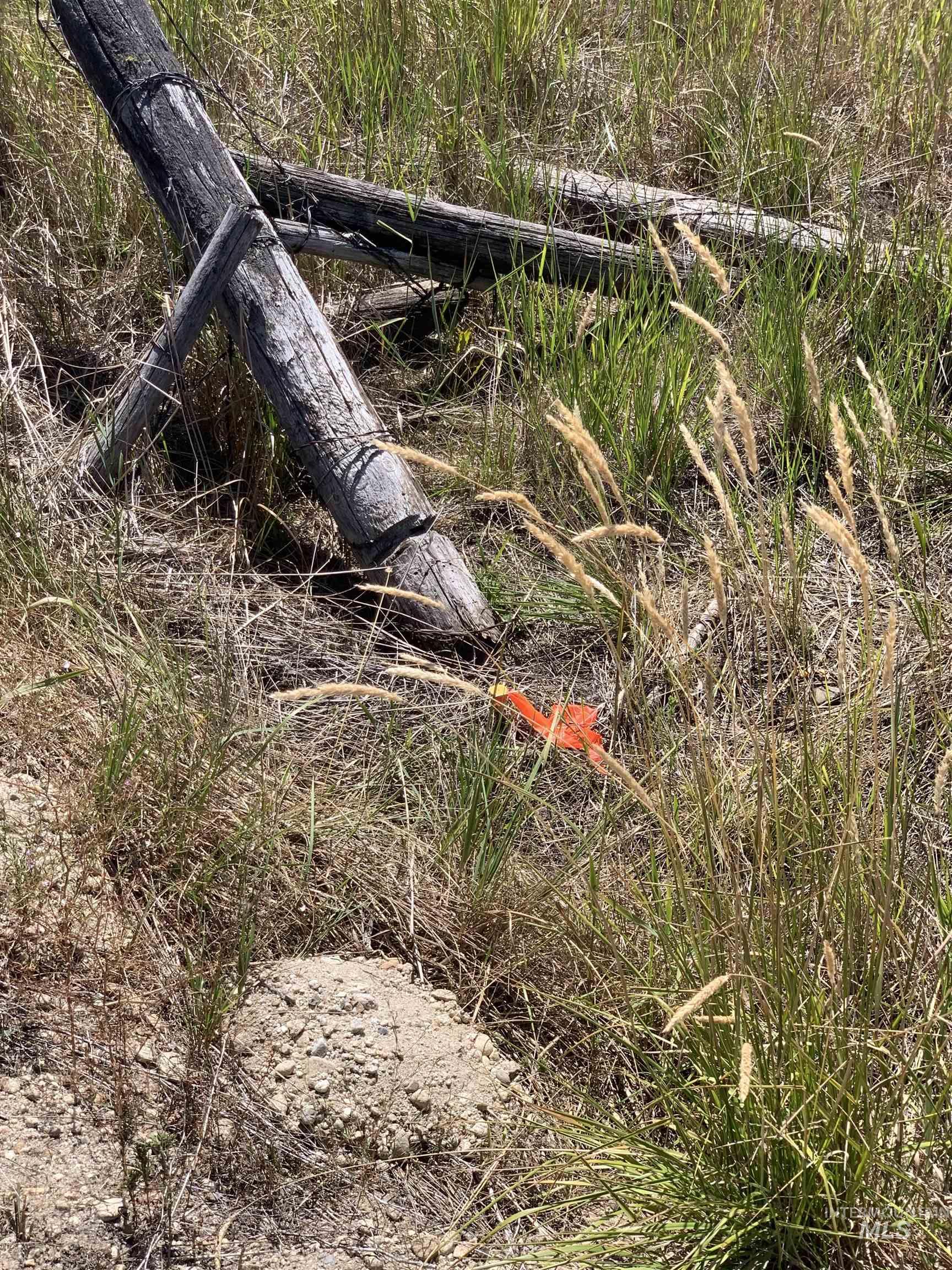 TBD Coho Ln, Donnelly, Idaho 83615, Land For Sale, Price $268,900,MLS 98957688