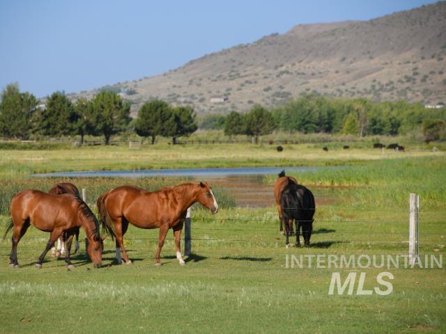 6891 W 2000 S, Rexburg, Idaho 83440, 3 Bedrooms, 2 Bathrooms, Farm & Ranch For Sale, Price $17,275,500, 98957804