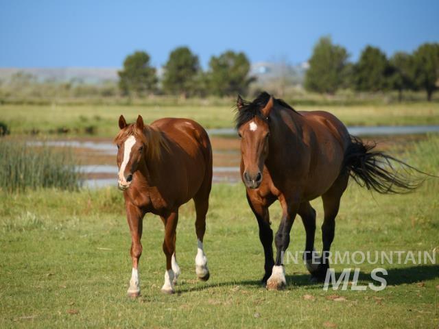 6891 W 2000 S, Rexburg, Idaho 83440, 3 Bedrooms, 2 Bathrooms, Farm & Ranch For Sale, Price $17,275,500, 98957804