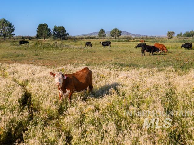 6891 W 2000 S, Rexburg, Idaho 83440, 3 Bedrooms, 2 Bathrooms, Farm & Ranch For Sale, Price $17,275,500, 98957804