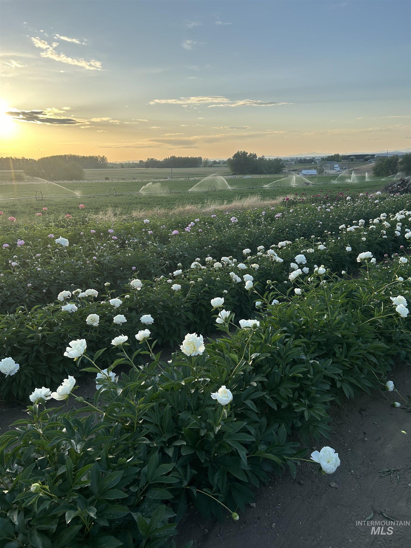 5940 SE 4th Ave, New Plymouth, Idaho 83655, 3 Bedrooms, 2 Bathrooms, Residential For Sale, Price $1,175,000,MLS 98957831