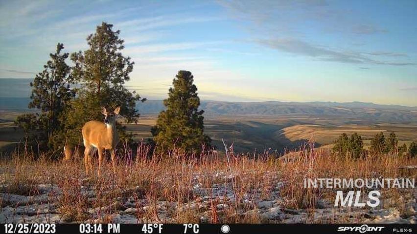 39430 Hide Away Ln, Lewiston, Idaho 83501, Land For Sale, Price $239,000,MLS 98957841