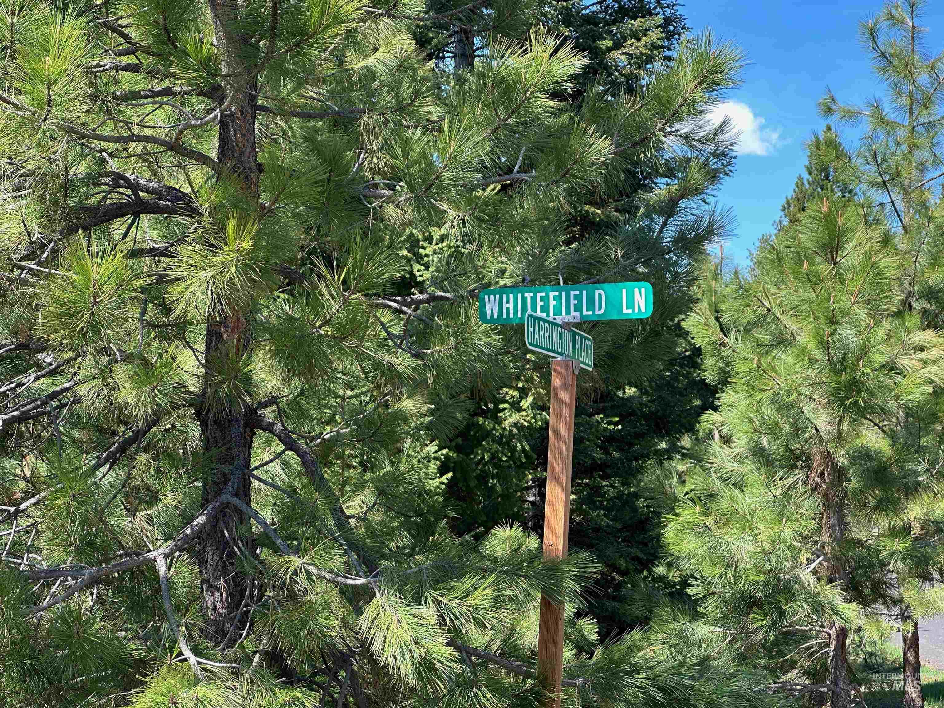 TBD Whitefield Lane, McCall, Idaho 83638-0000, Land For Sale, Price $284,990,MLS 98957923