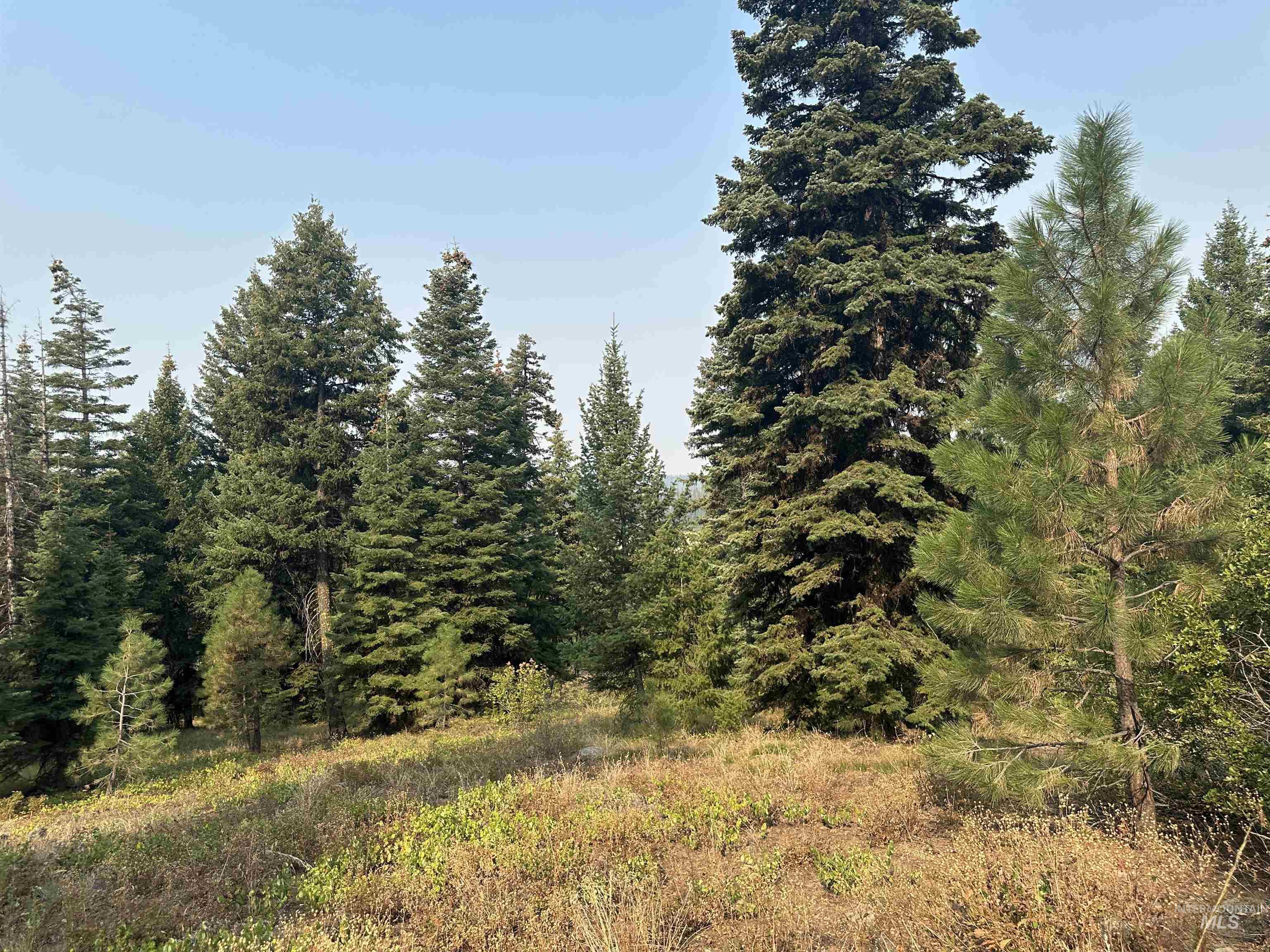 TBD Whitefield Lane, McCall, Idaho 83638-0000, Land For Sale, Price $284,990,MLS 98957923