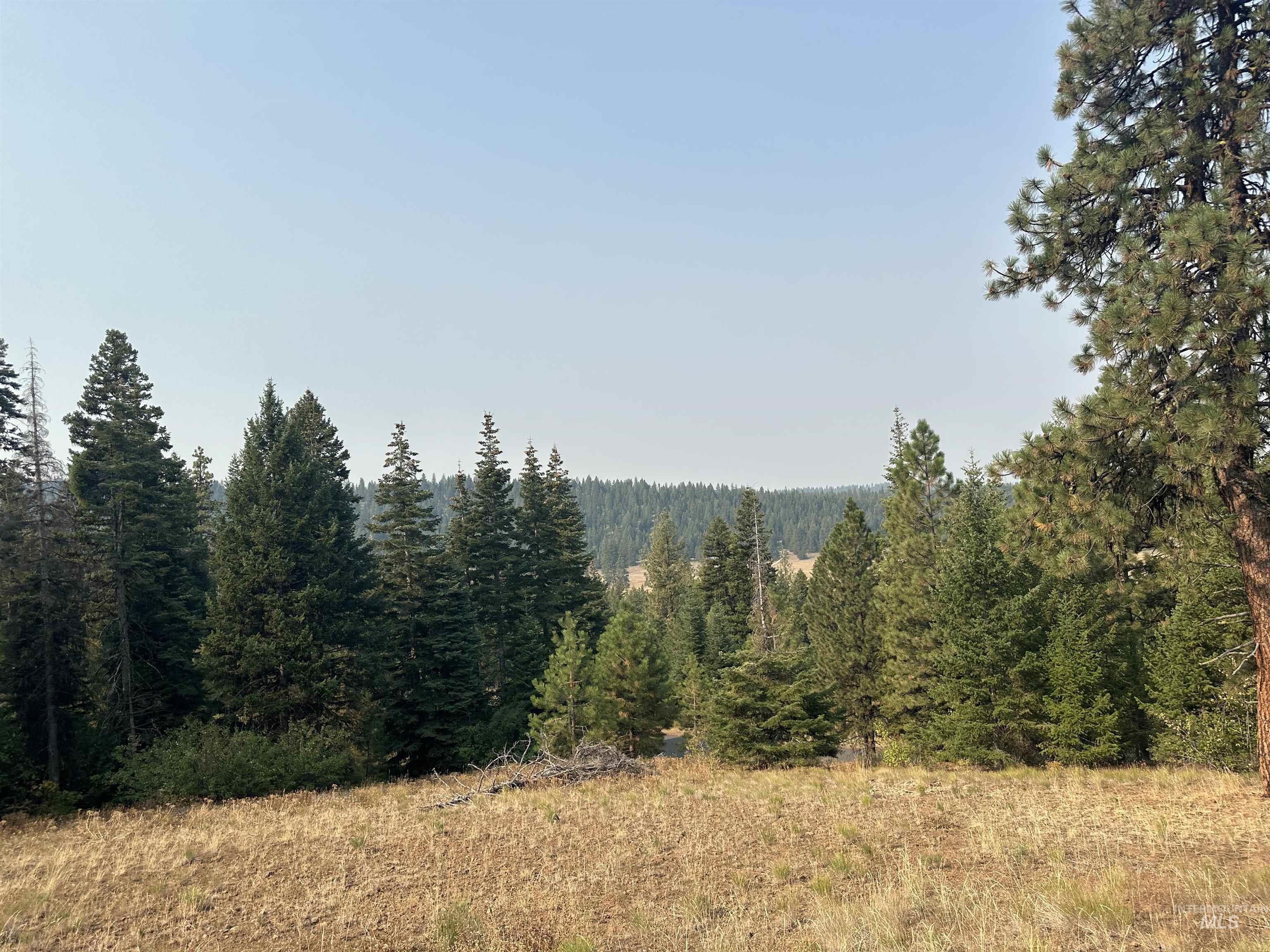 TBD Whitefield Lane, McCall, Idaho 83638-0000, Land For Sale, Price $284,990,MLS 98957923