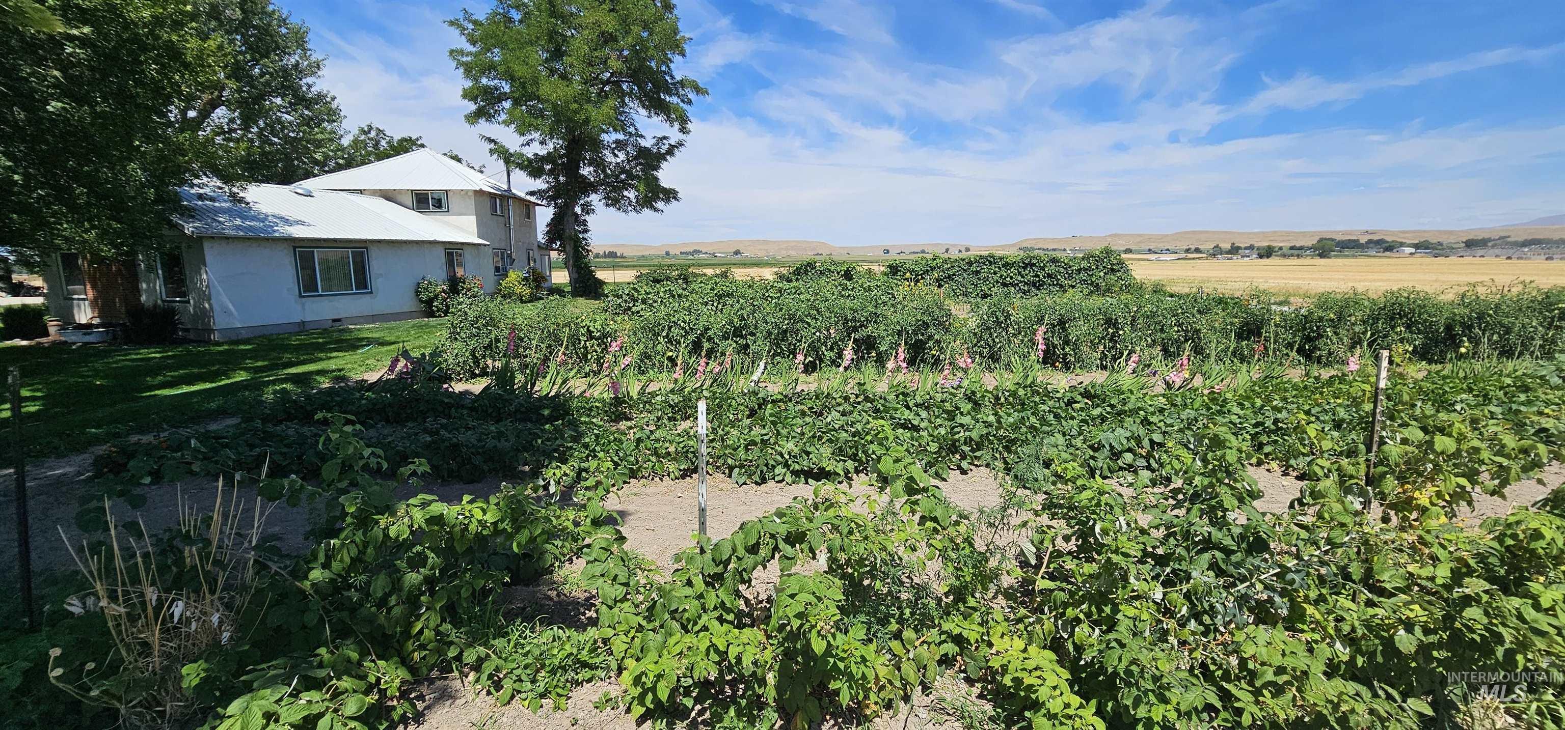 8600 Hillview RD, Emmett, Idaho 83617, 3 Bedrooms, 2 Bathrooms, Farm & Ranch For Sale, Price $1,750,000, 98957937