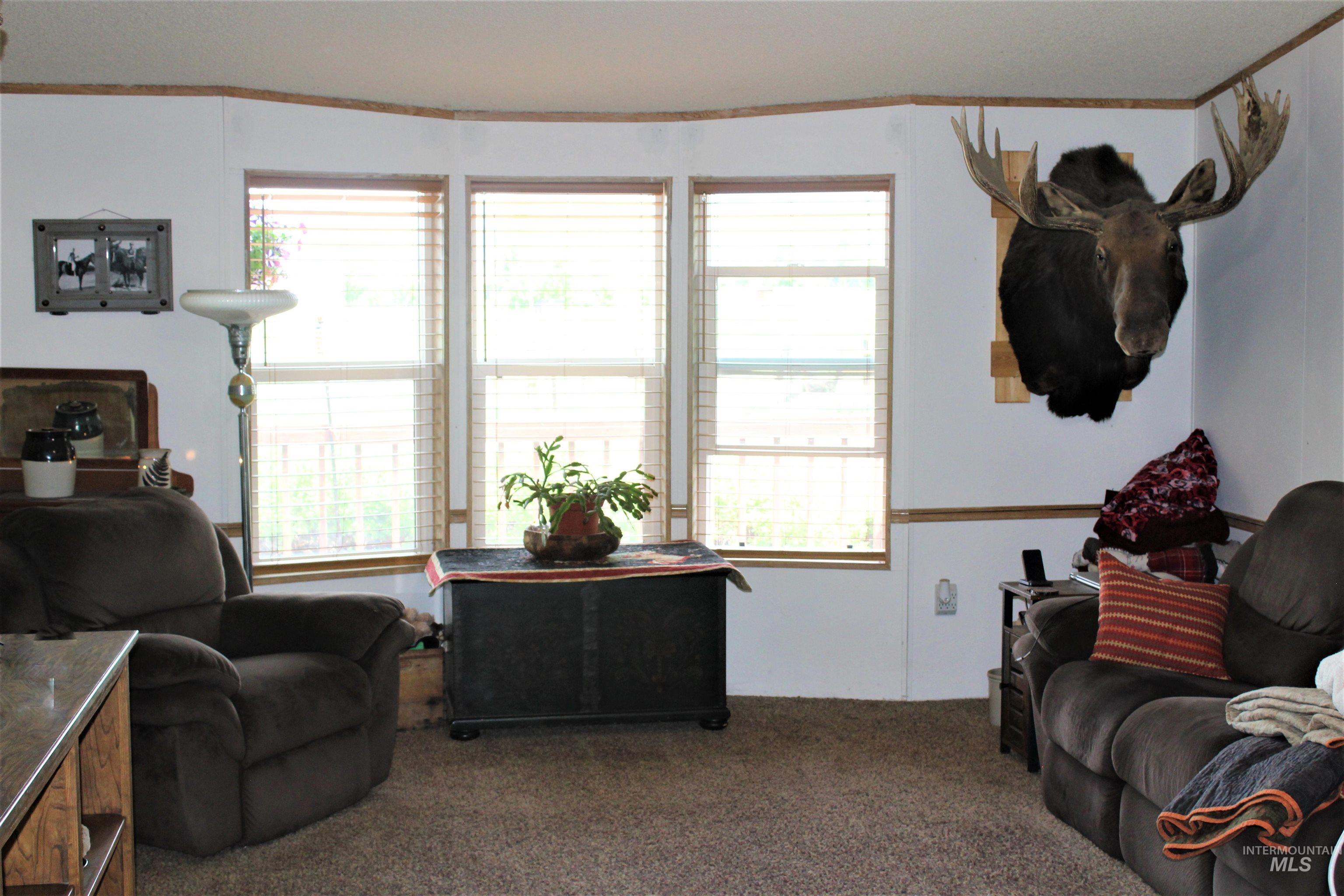 13576 Farm to Market, McCall, Idaho 83638, 3 Bedrooms, 2 Bathrooms, Residential For Sale, Price $850,000, 98958105
