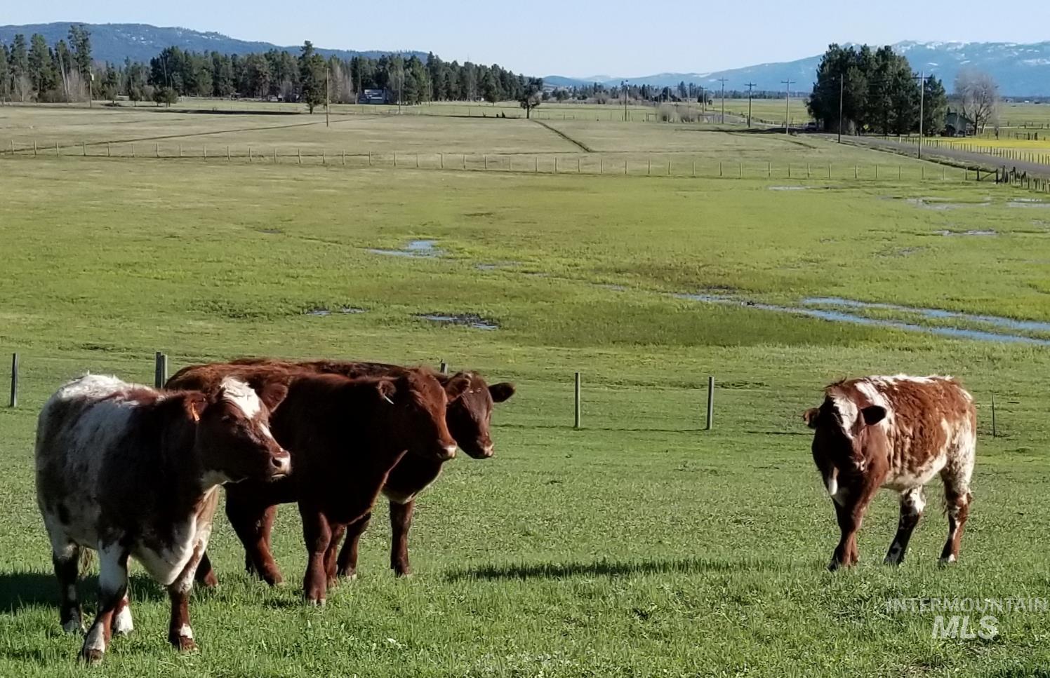 13576 Farm to Market, McCall, Idaho 83638, 3 Bedrooms, 2 Bathrooms, Residential For Sale, Price $850,000, 98958105