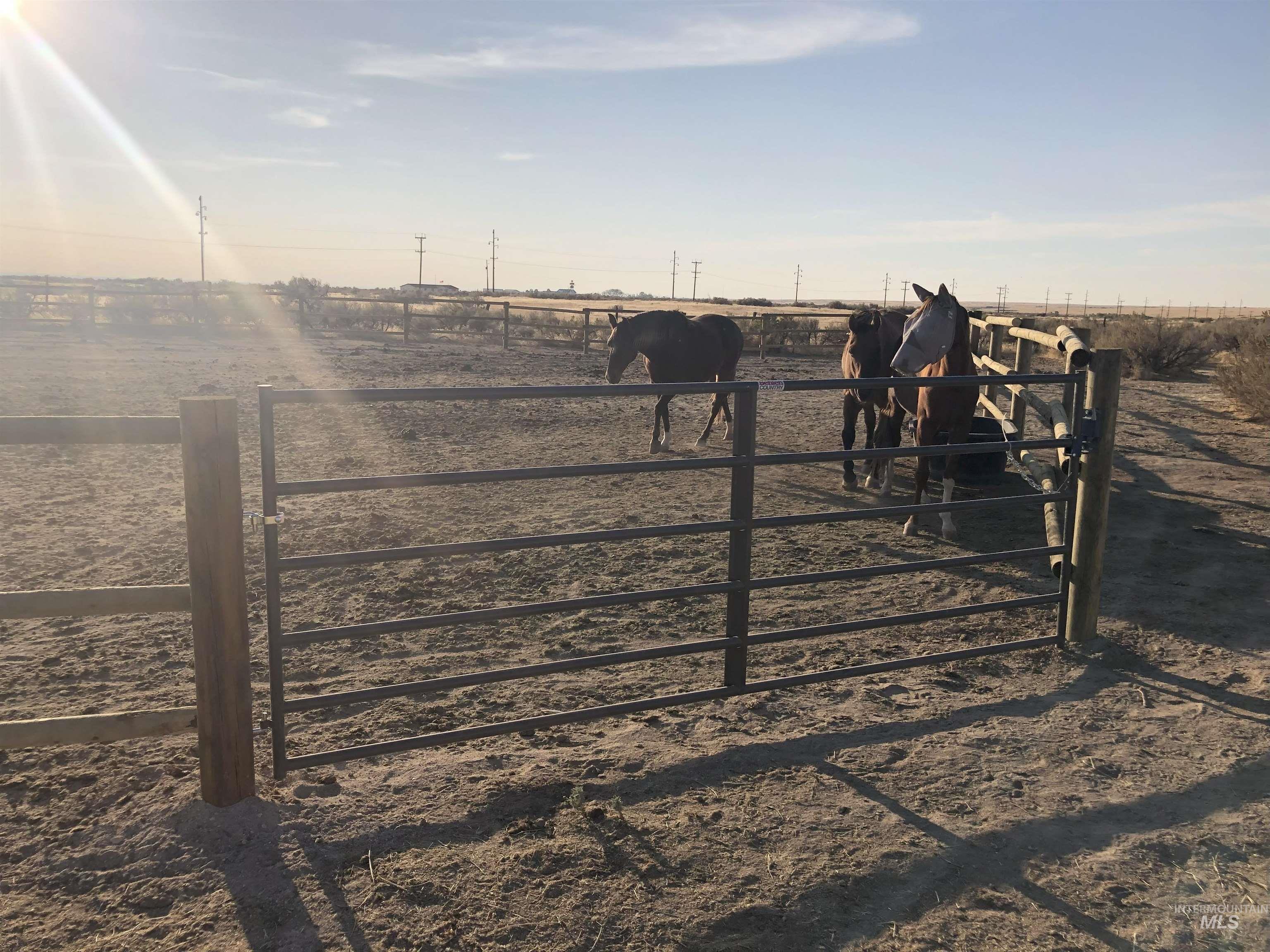 185 S Prong Horn, Boise, Idaho 83716, 3 Bedrooms, 3 Bathrooms, Residential For Sale, Price $950,000,MLS 98958340