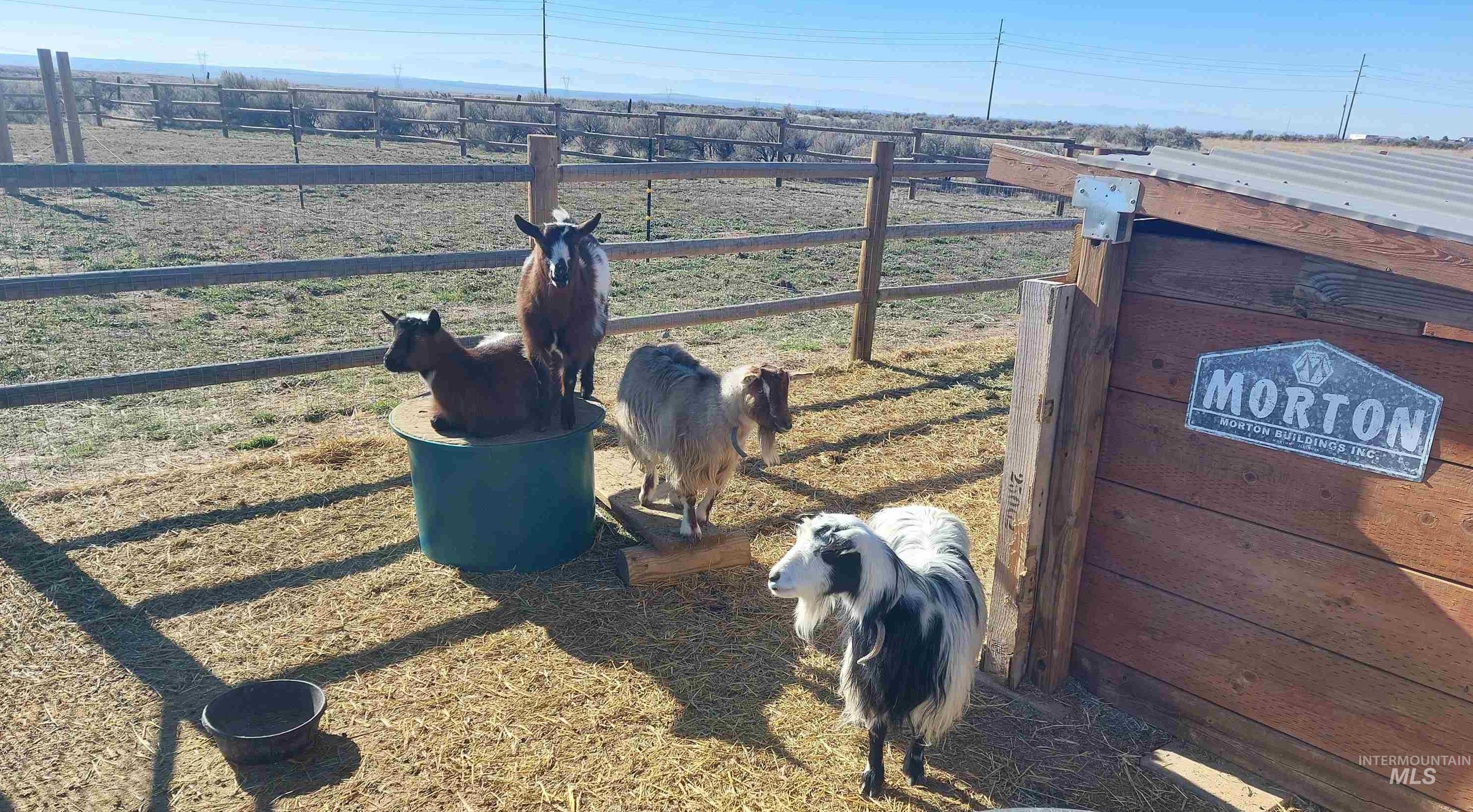 185 S Prong Horn, Boise, Idaho 83716, 3 Bedrooms, 3 Bathrooms, Residential For Sale, Price $950,000, 98958340