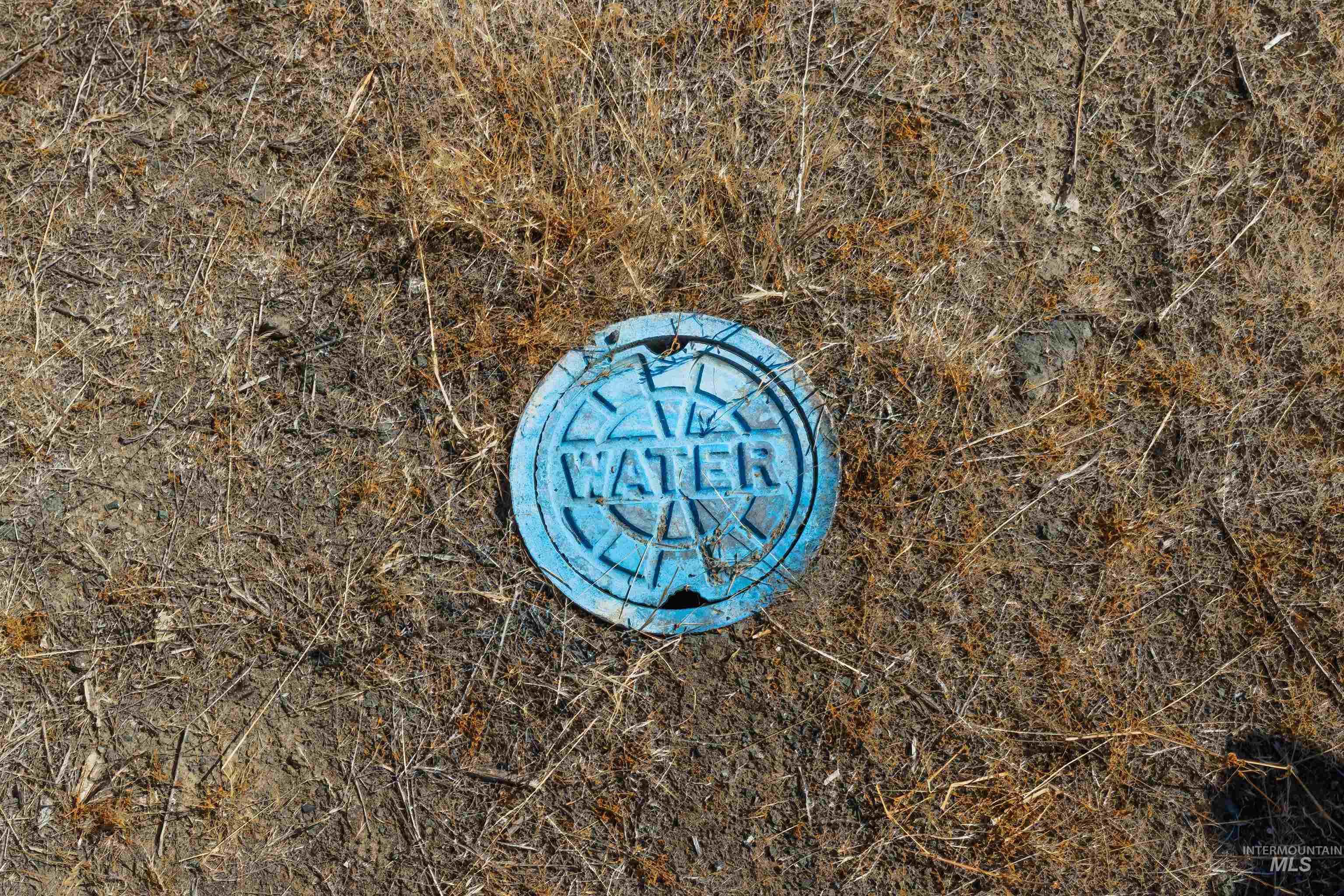 791 Swantz, Asotin, Idaho 99402, Land For Sale, Price $750,000, 98958364