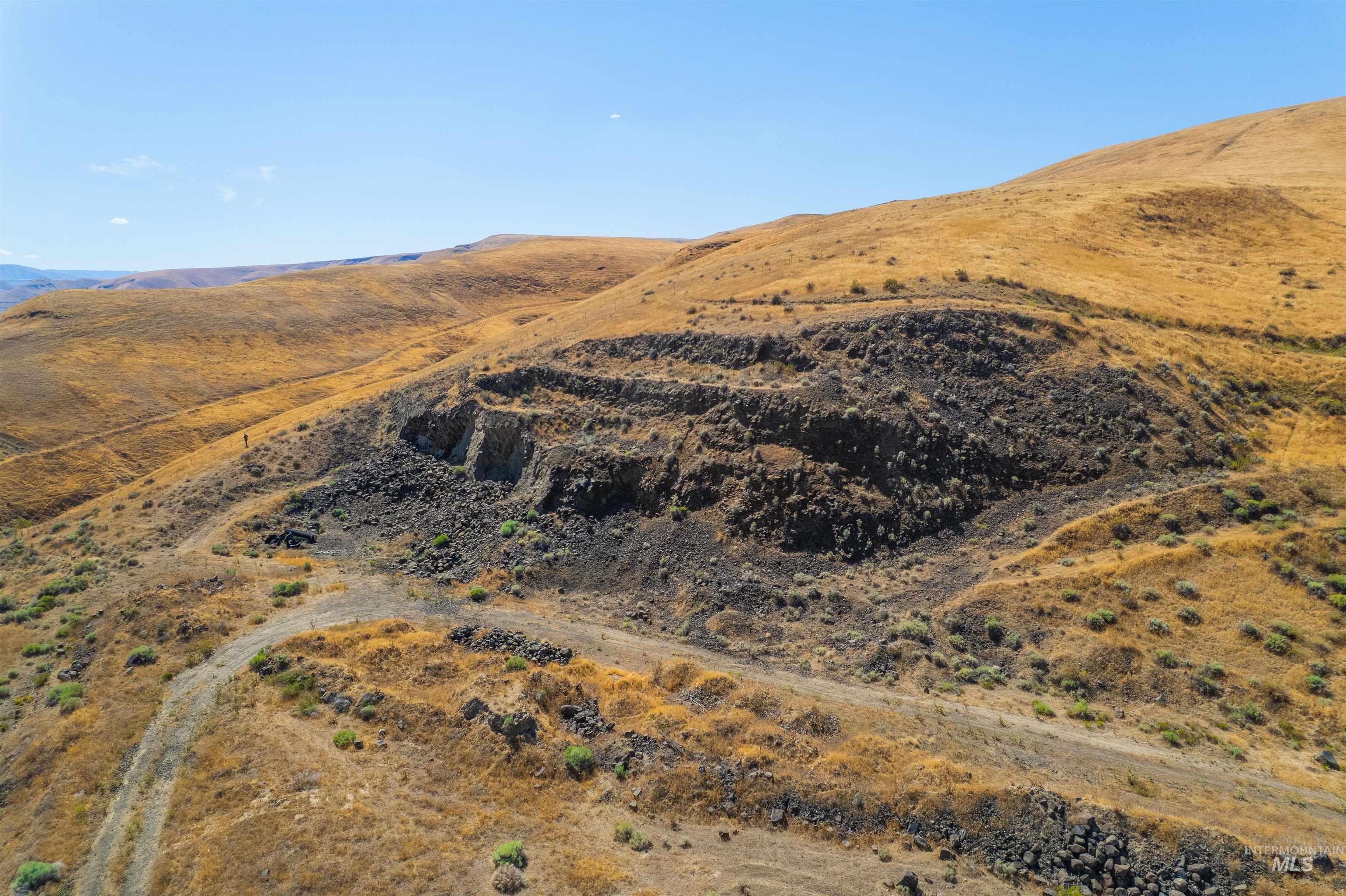 791 Swantz, Asotin, Idaho 99402, Land For Sale, Price $750,000, 98958364