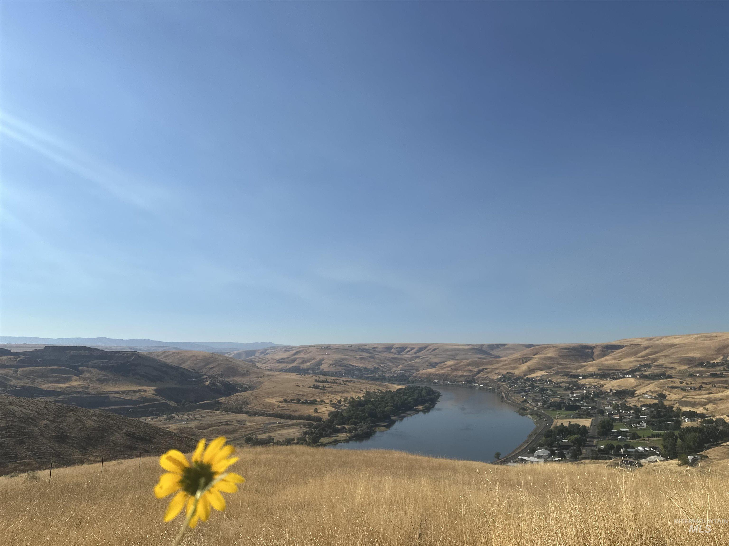 TBD Grandview Dr, Clarkston, Washington 99403, Land For Sale, Price $795,000, 98958480