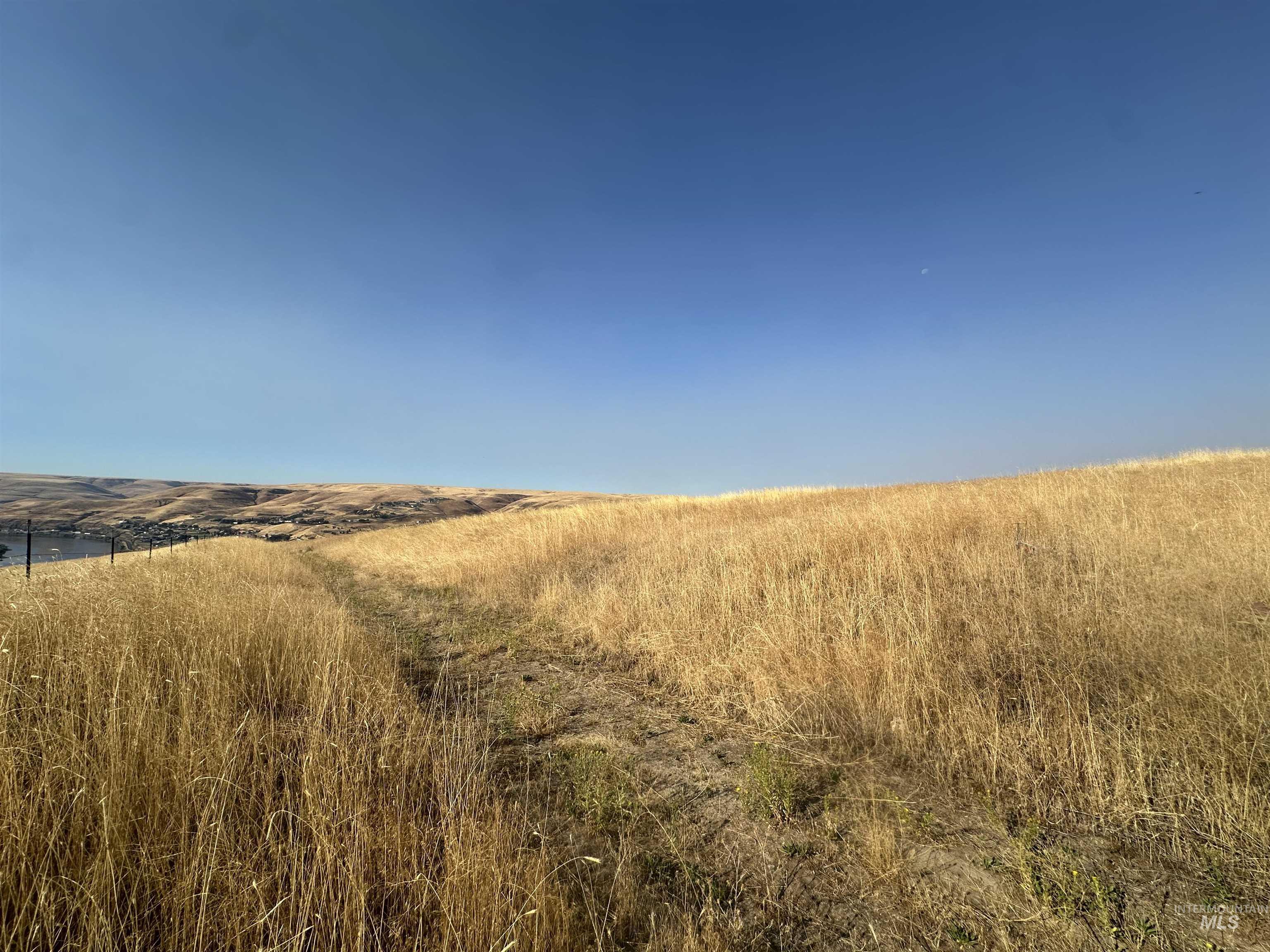 TBD Grandview Dr, Clarkston, Washington 99403, Land For Sale, Price $795,000, 98958480