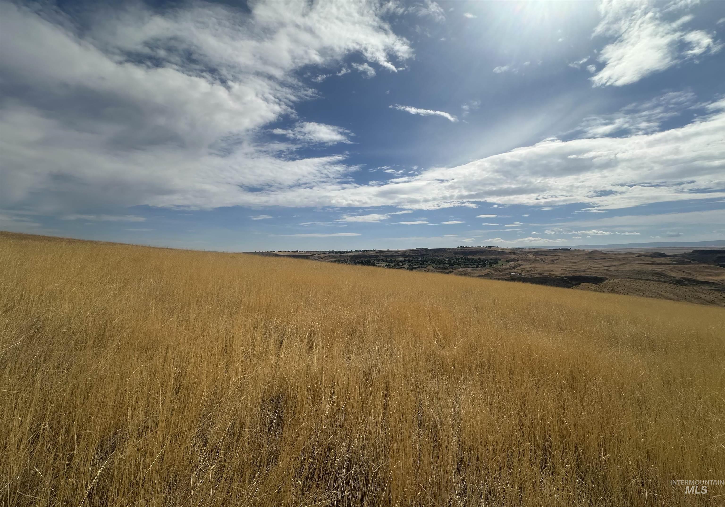TBD Grandview Dr, Clarkston, Washington 99403, Land For Sale, Price $795,000, 98958480