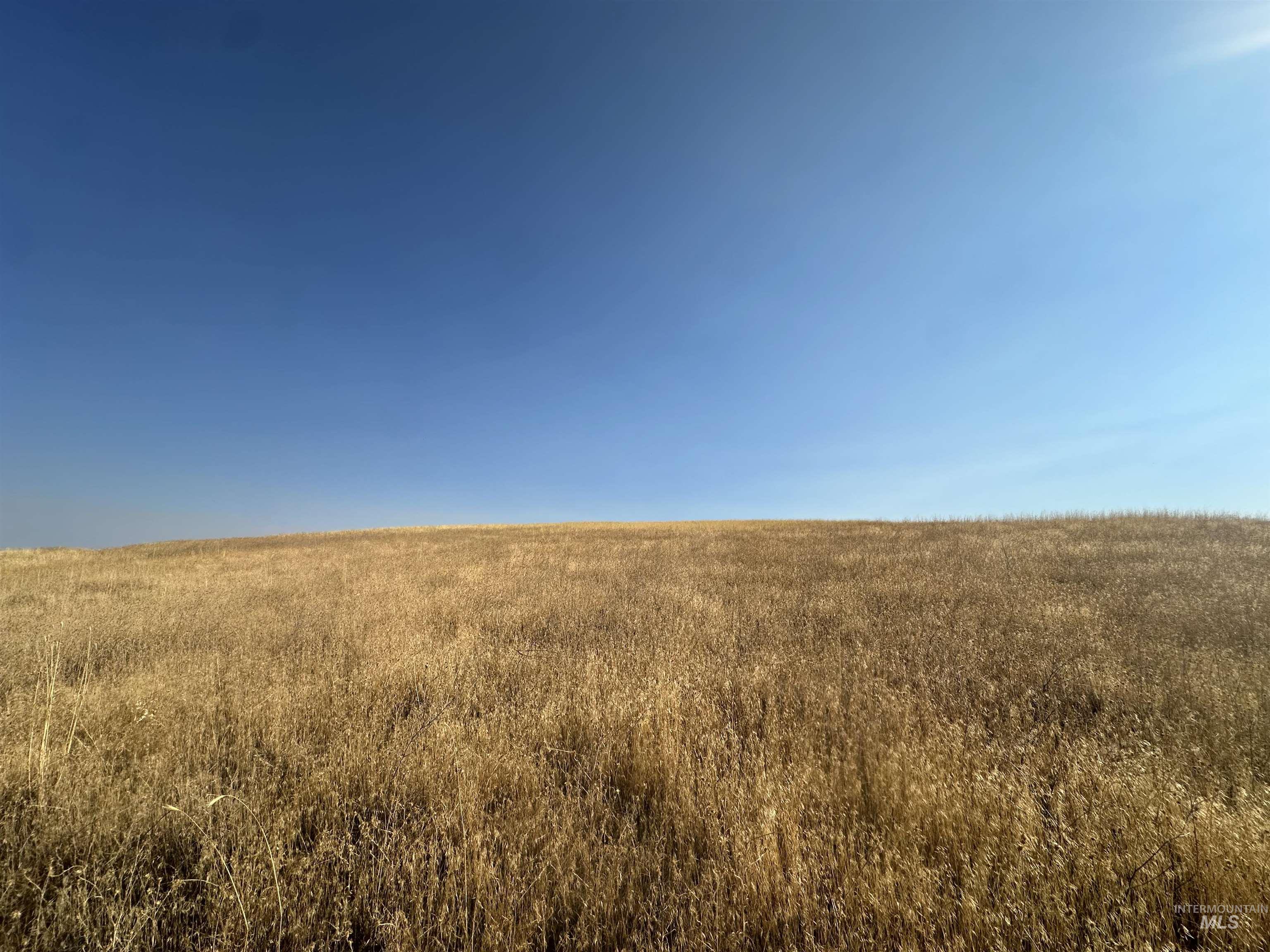 TBD Grandview Dr, Clarkston, Washington 99403, Land For Sale, Price $795,000, 98958480