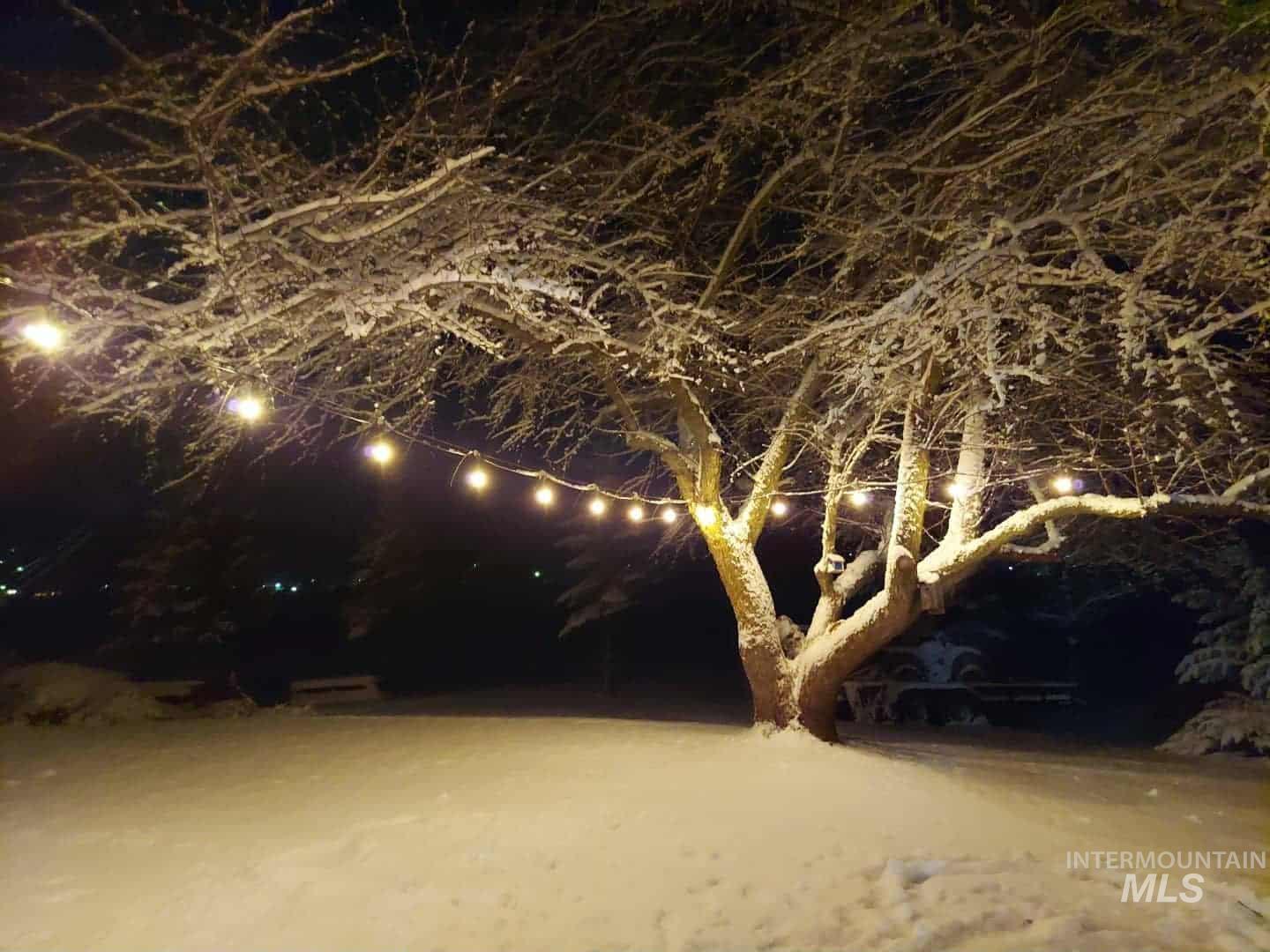 1048 Reynolds, Princeton, Idaho 83857, 4 Bedrooms, 2 Bathrooms, Residential For Sale, Price $455,000,MLS 98958487