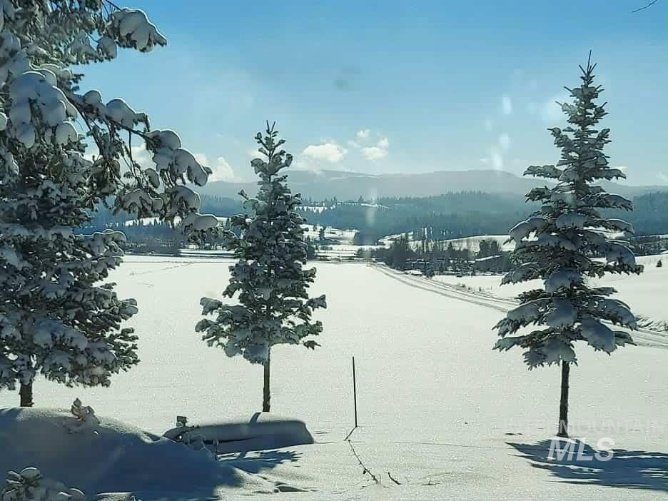 1048 Reynolds, Princeton, Idaho 83857, 4 Bedrooms, 2 Bathrooms, Residential For Sale, Price $455,000,MLS 98958487