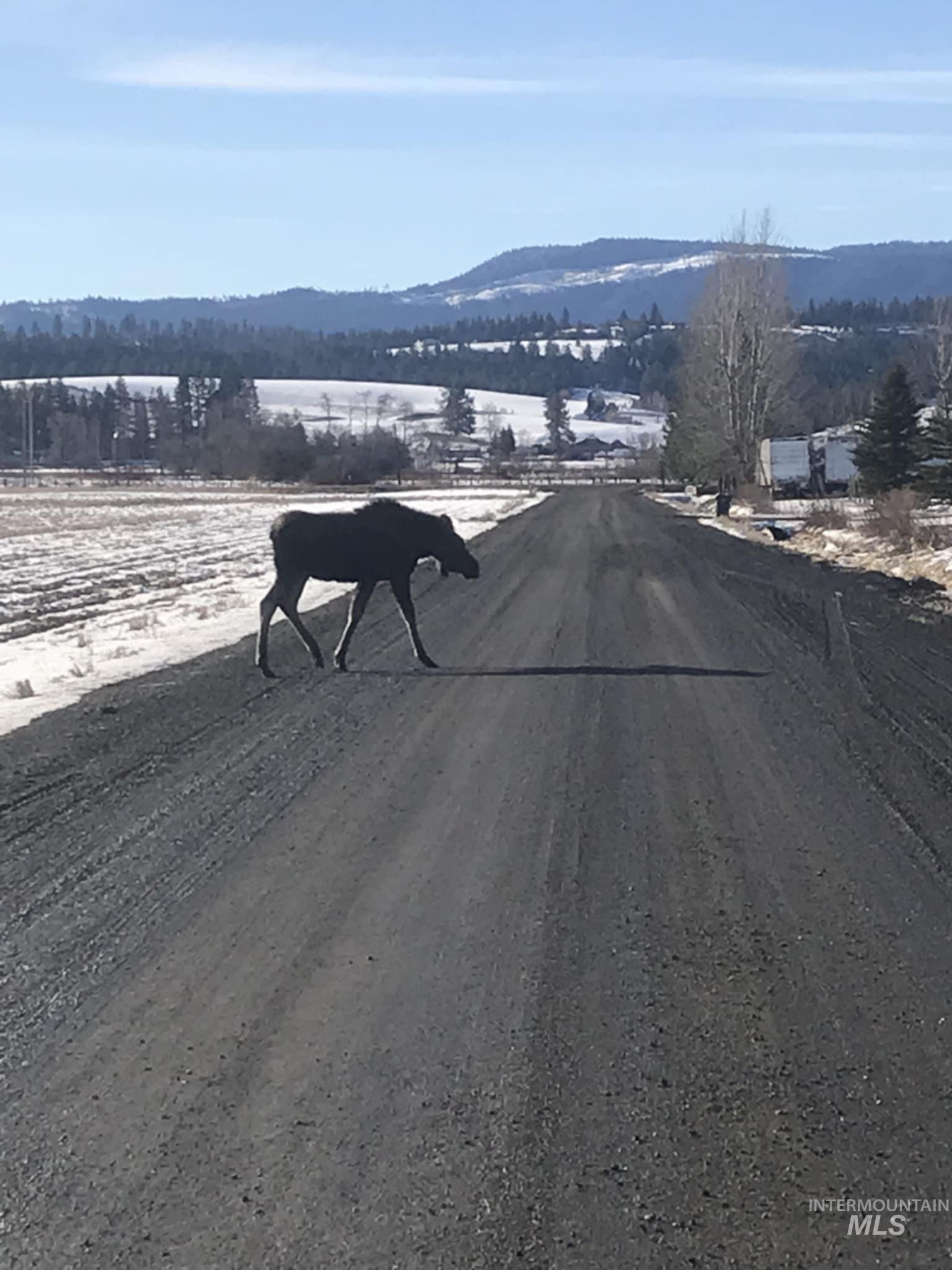1048 Reynolds, Princeton, Idaho 83857, 4 Bedrooms, 2 Bathrooms, Residential For Sale, Price $455,000,MLS 98958487