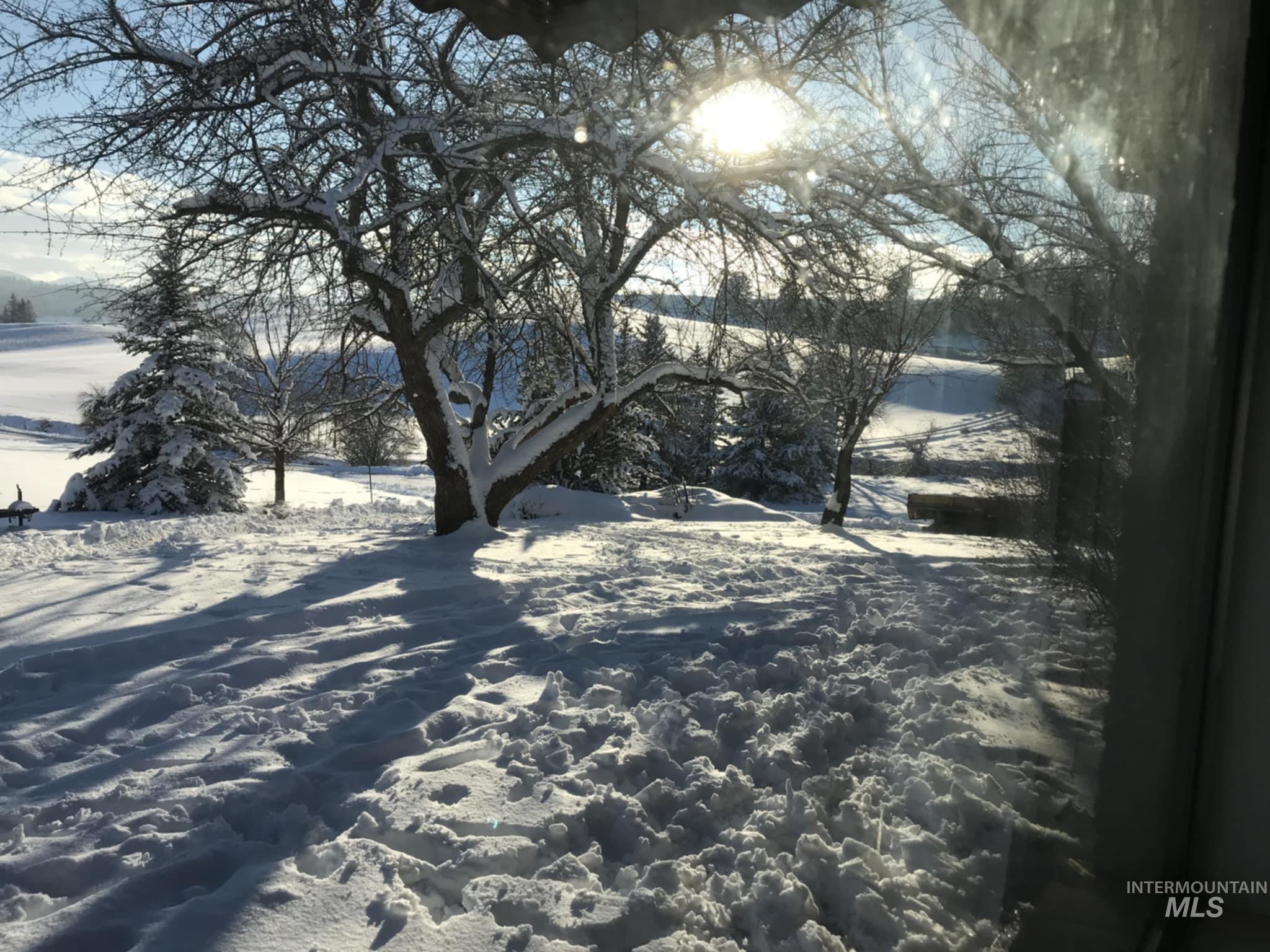 1048 Reynolds, Princeton, Idaho 83857, 4 Bedrooms, 2 Bathrooms, Residential For Sale, Price $455,000,MLS 98958487