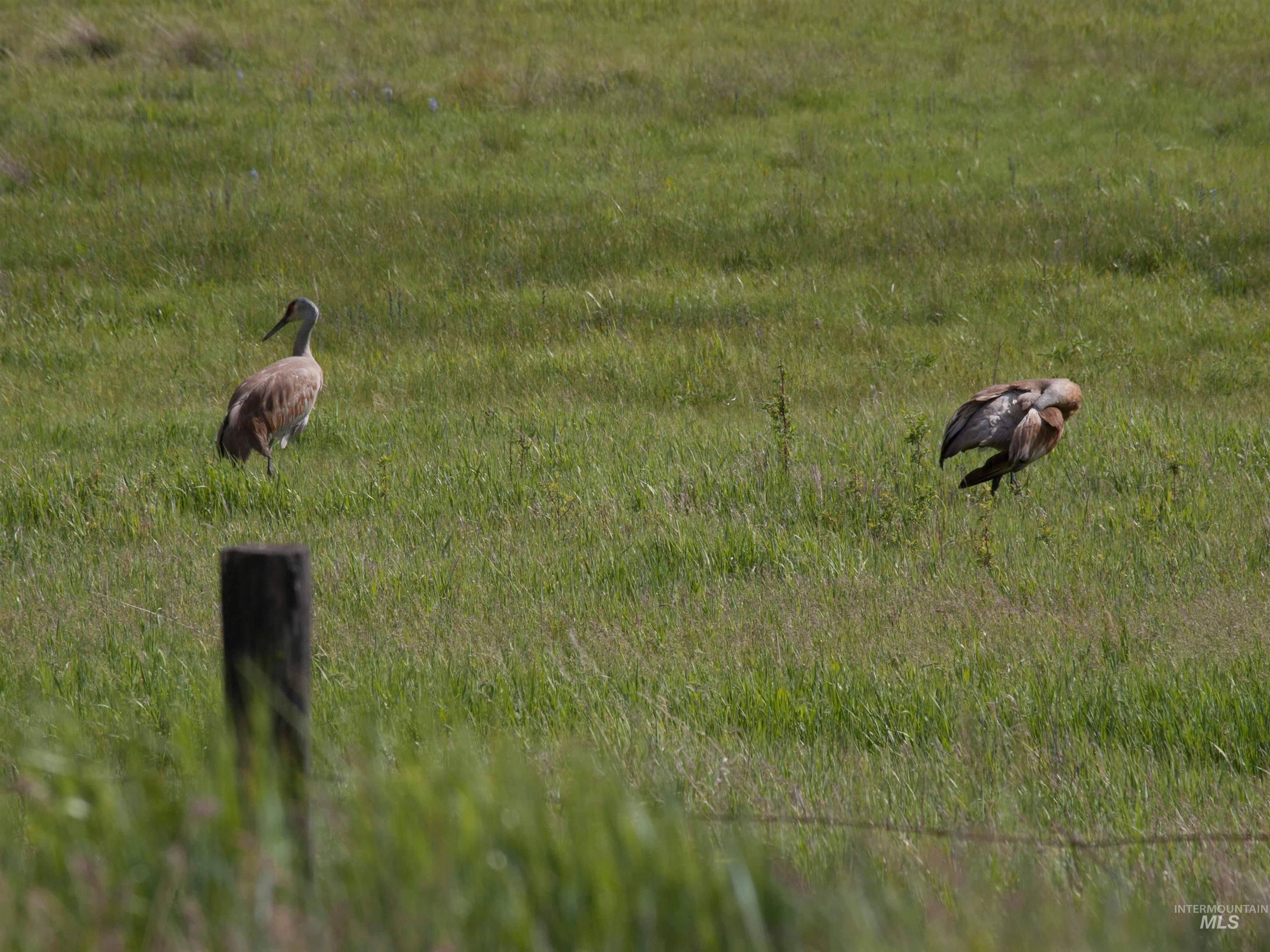 BLK 5 LOT 5 Cooski Springs, Garden Valley, Idaho 83622, Land For Sale, Price $100,000,MLS 98958636