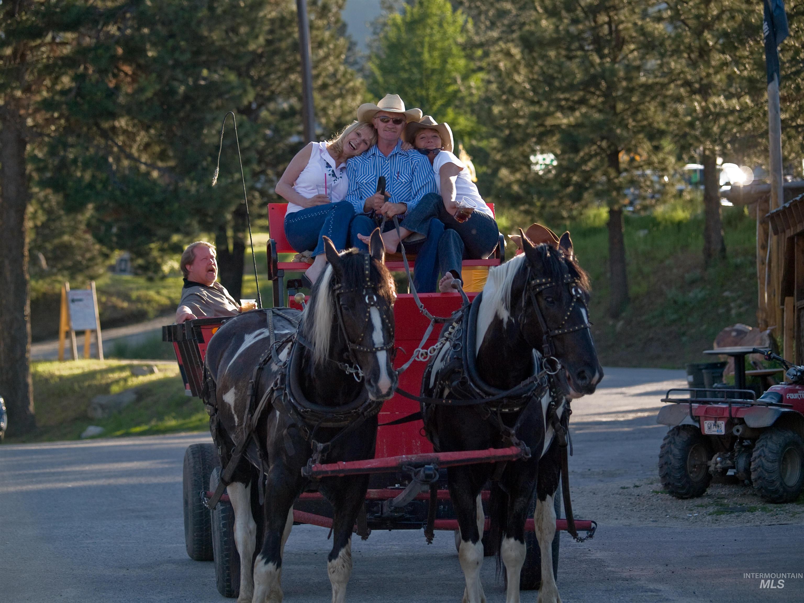 BLK 5 LOT 13 Cooski Springs, Garden Valley, Idaho 83622, Land For Sale, Price $95,000,MLS 98958643