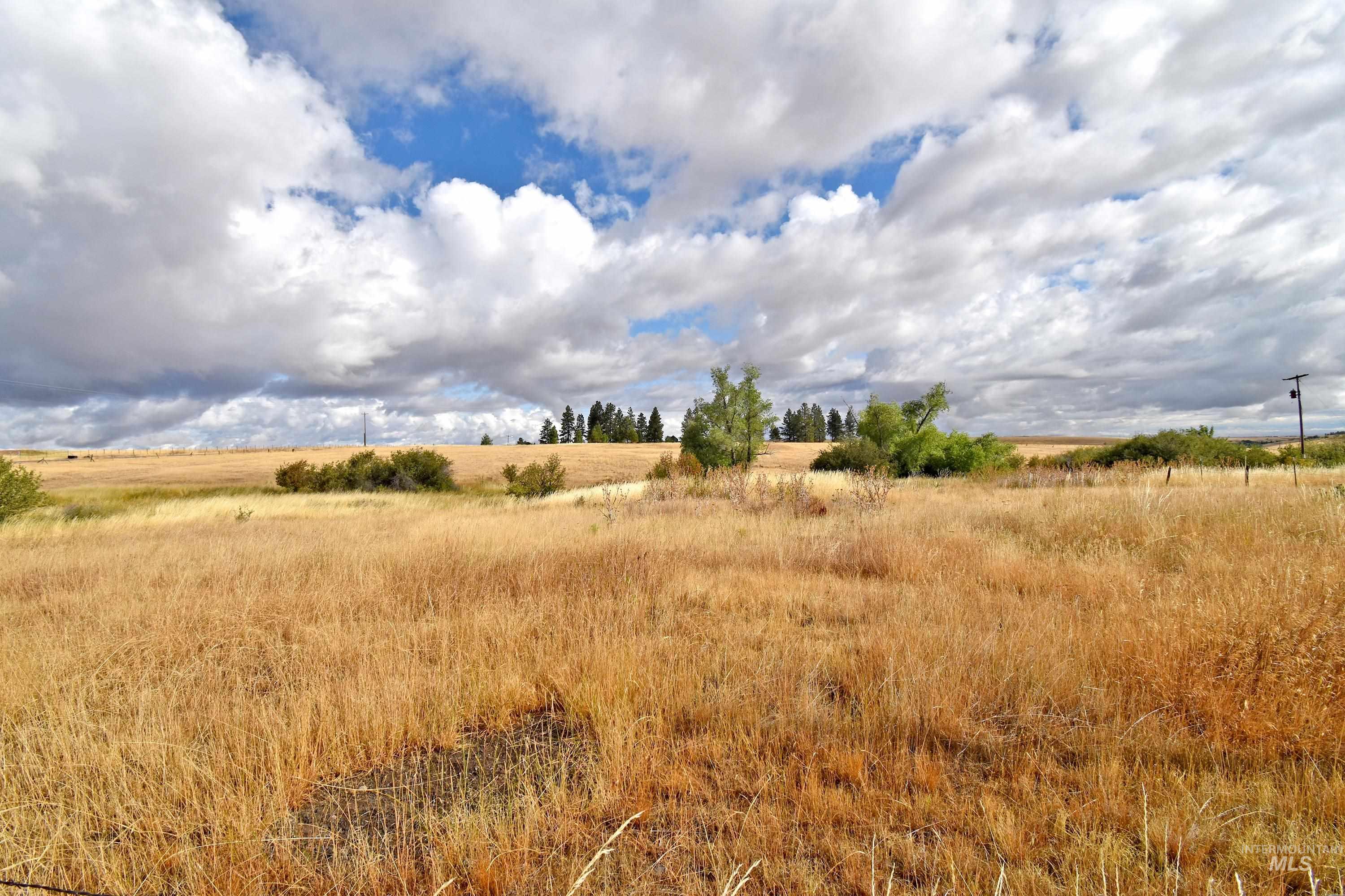 Boyd Lane, Anatone, Washington 99401, Land For Sale, Price $185,000, 98958648