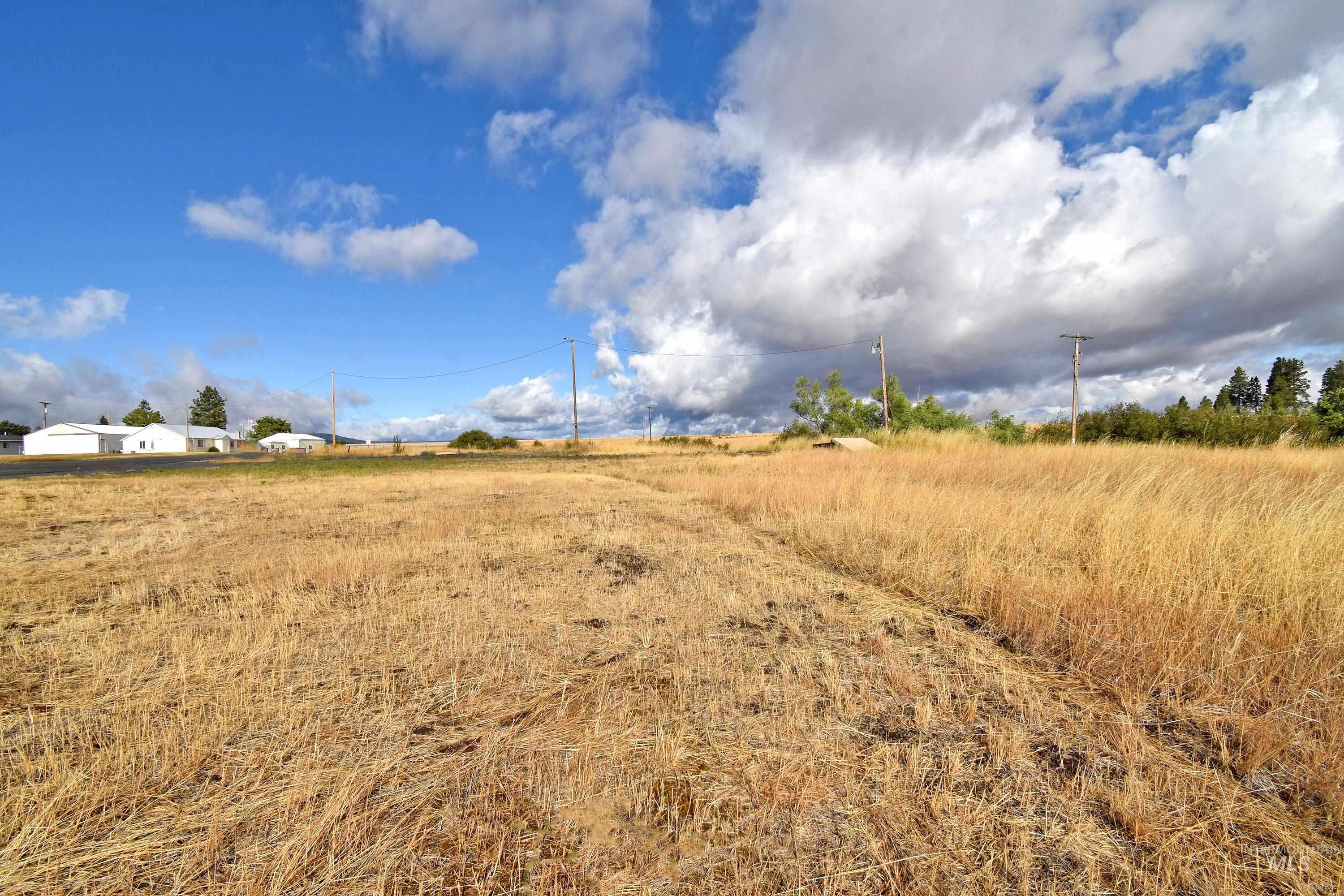 Boyd Lane, Anatone, Washington 99401, Land For Sale, Price $185,000, 98958648